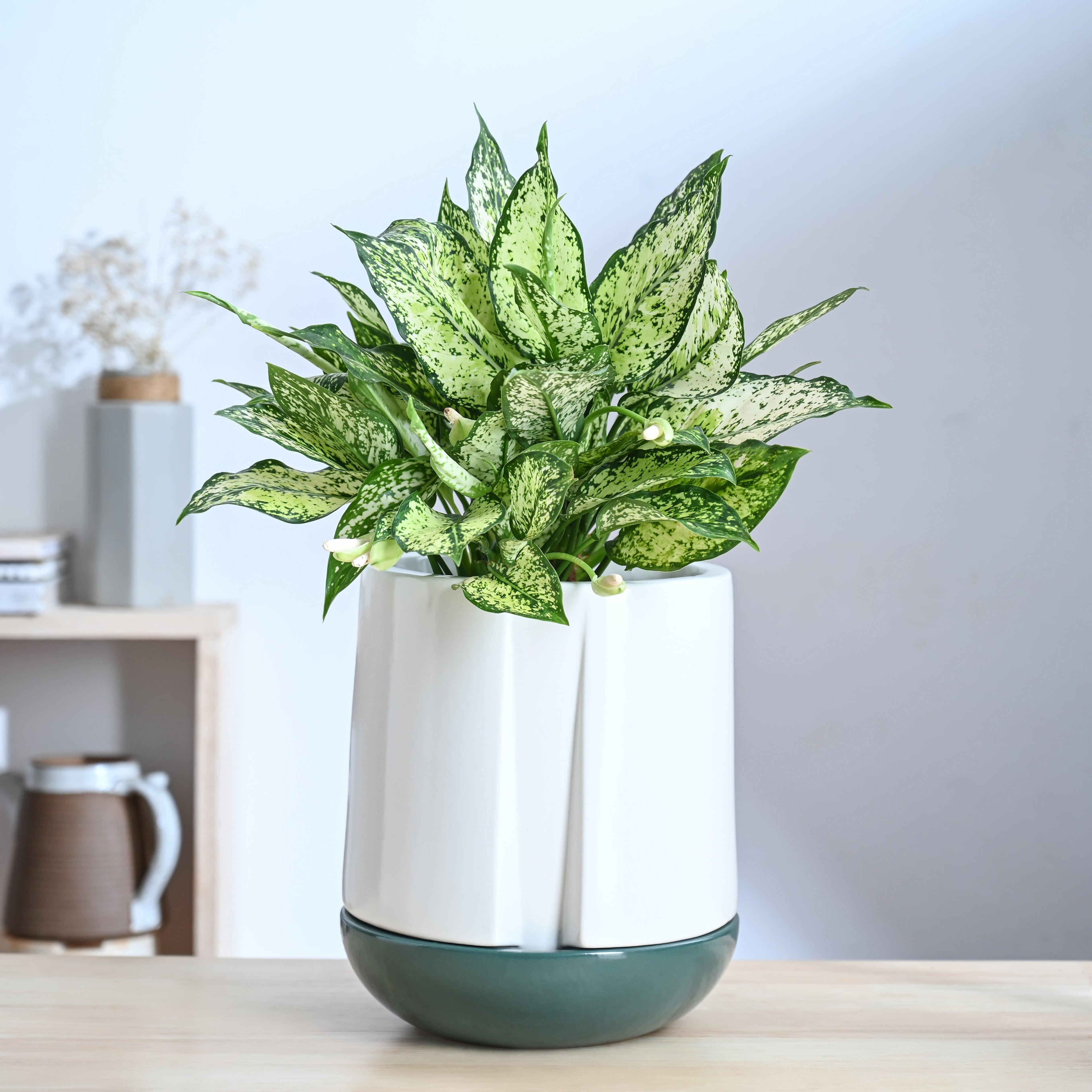 Moonlight Drama Ceramic Planter