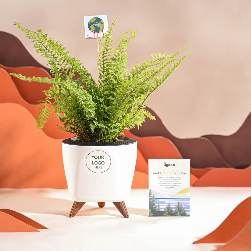 Fern Morpankhi For Environment Day Gifting