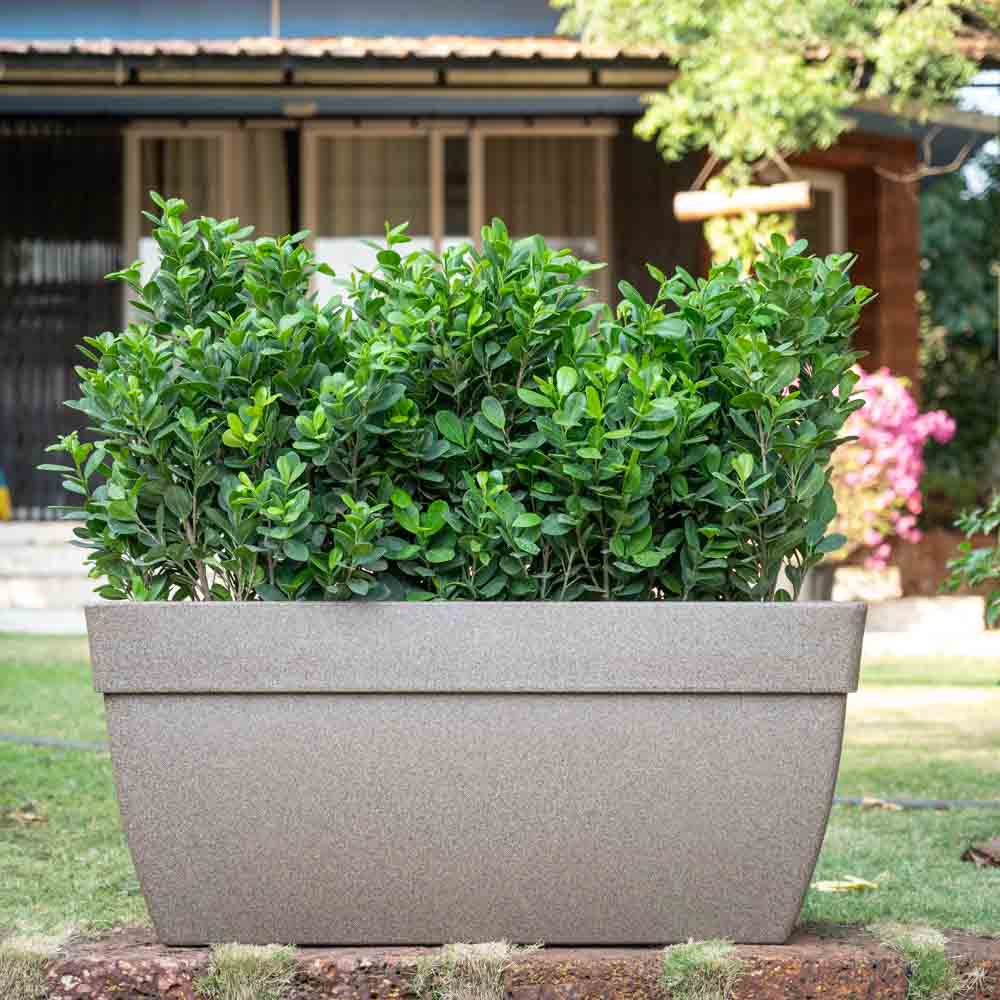 Barca Rectangle Planter