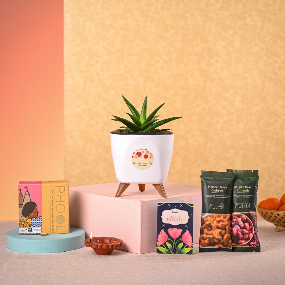 Aloe Vera Mini Plant & Phool Diwali Gift Hamper