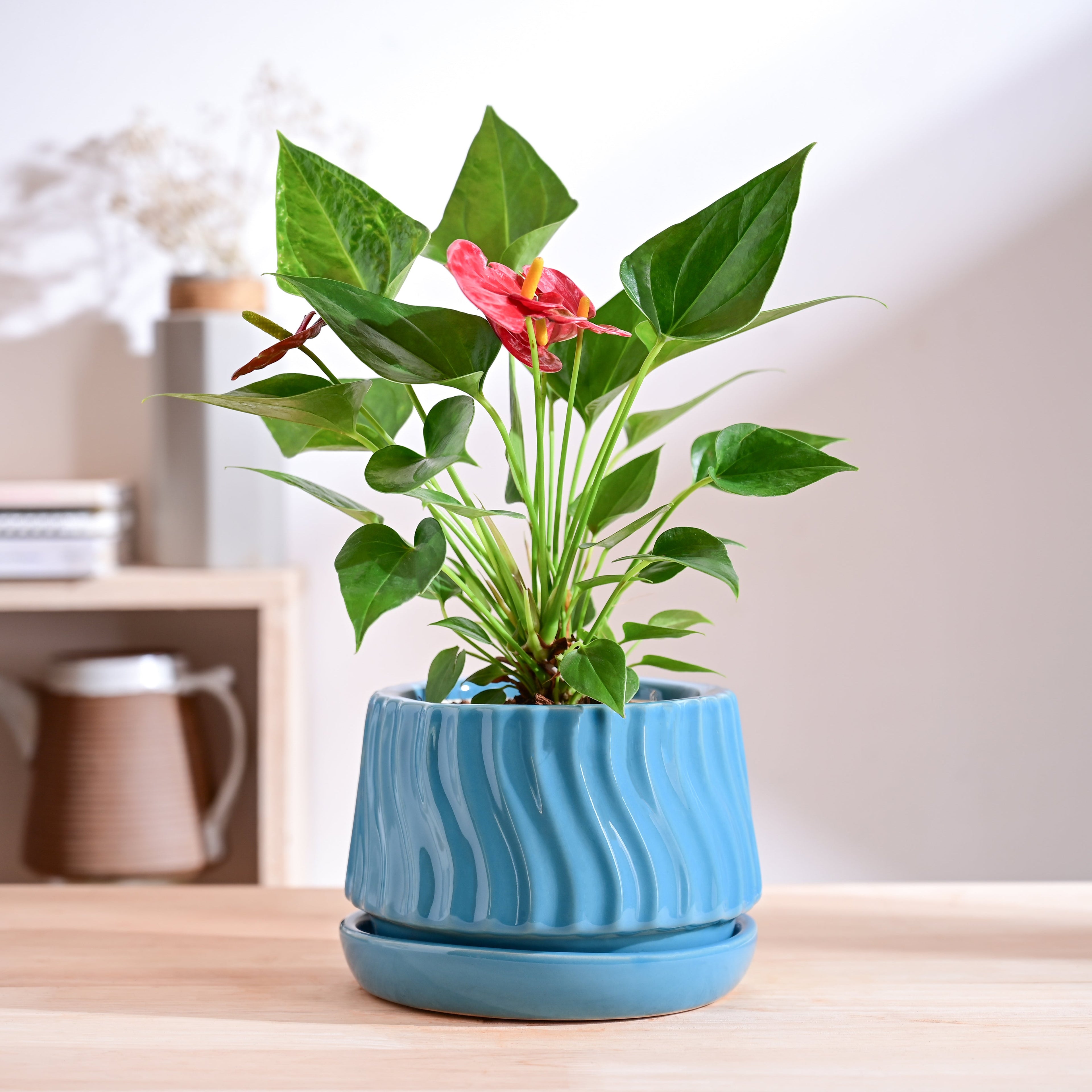 Fallen Angel Ceramic Planter