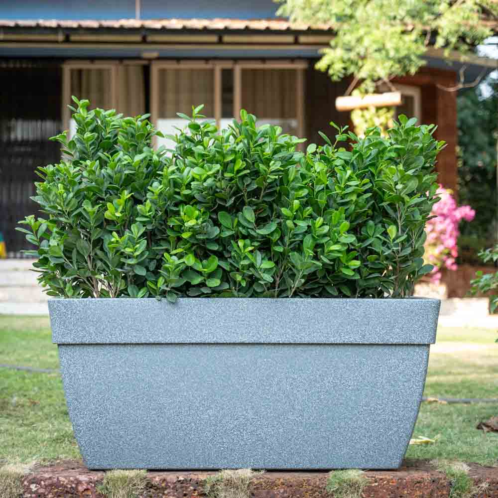 Barca Rectangle Planter
