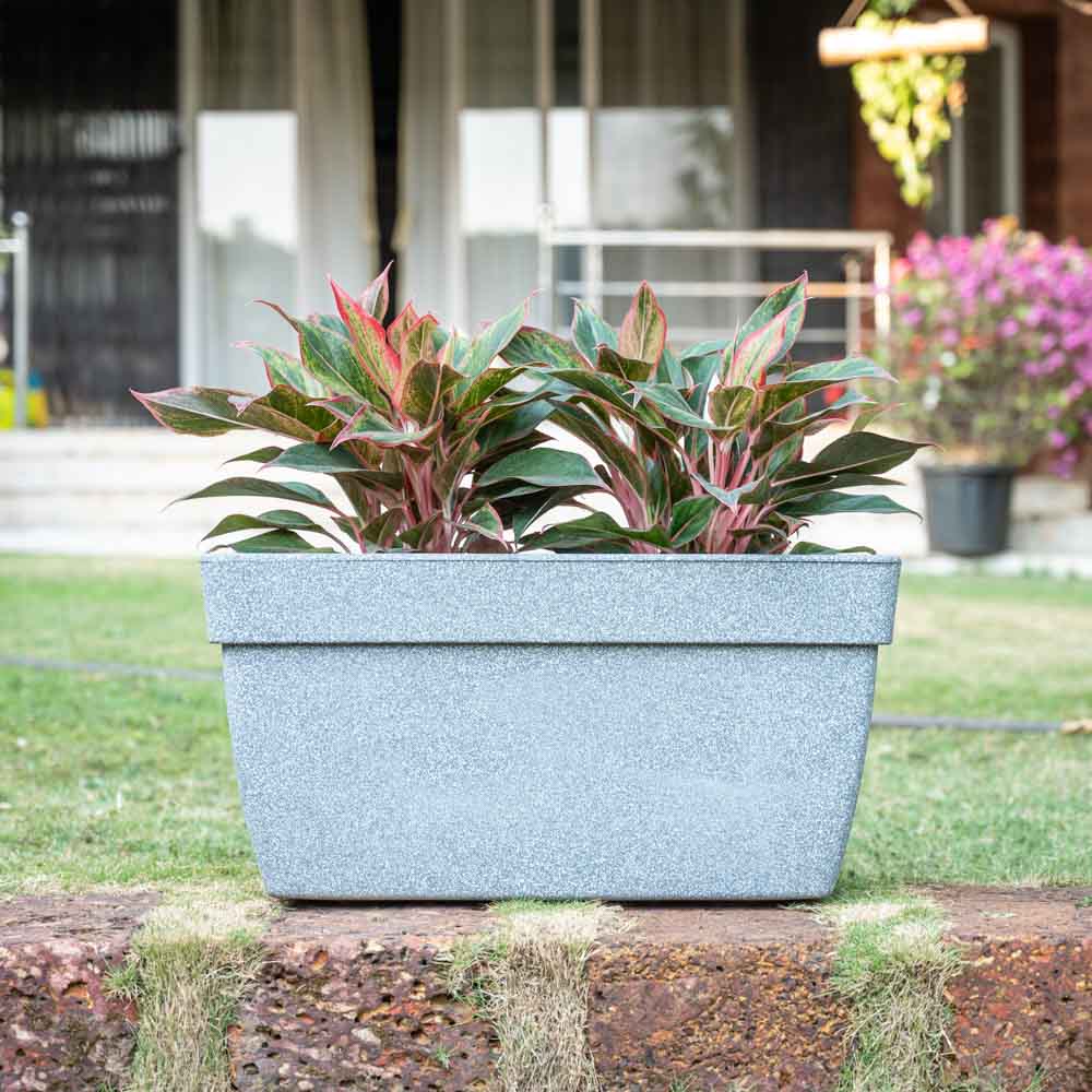 Barca Rectangle Planter