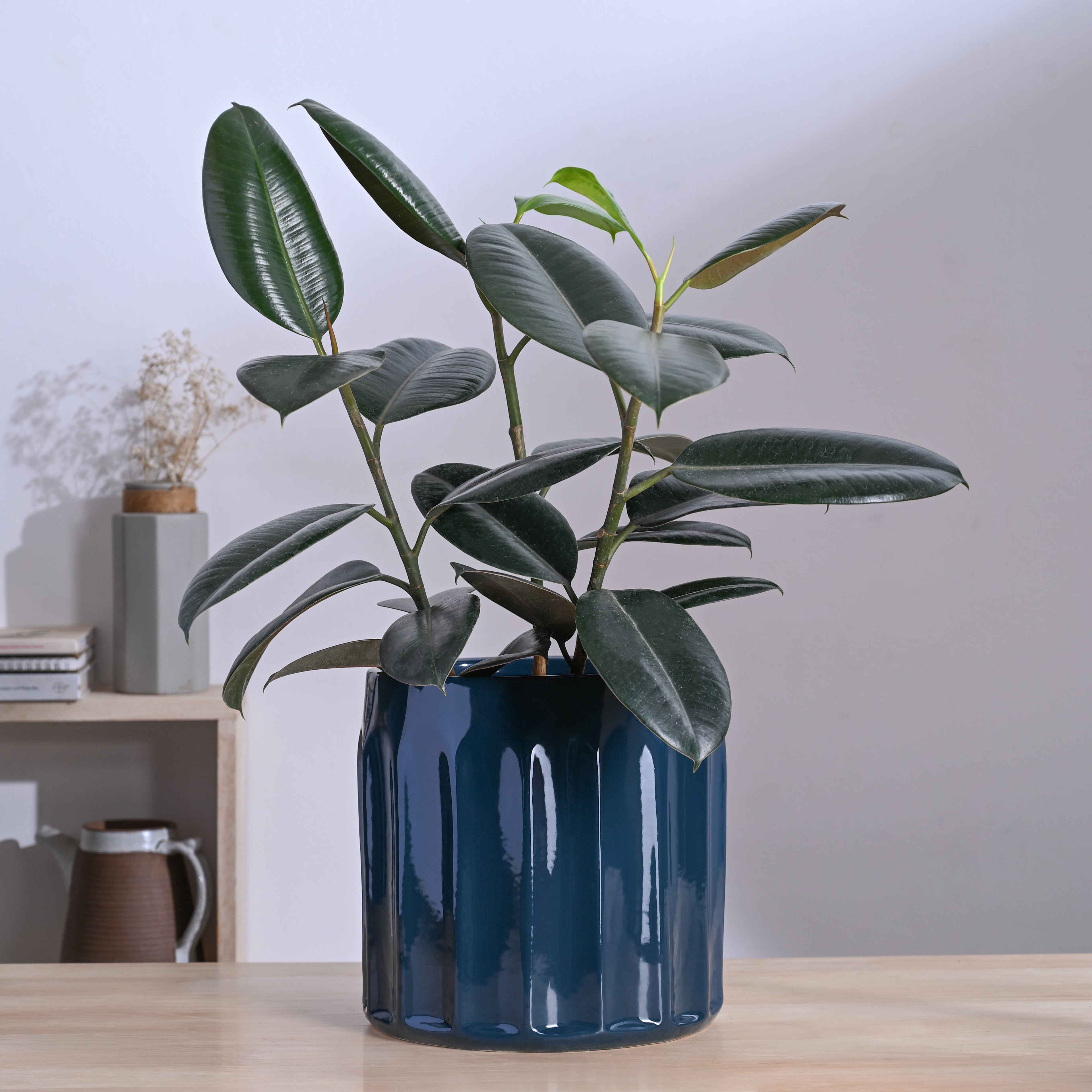 Blushing Sun Ceramic Planter