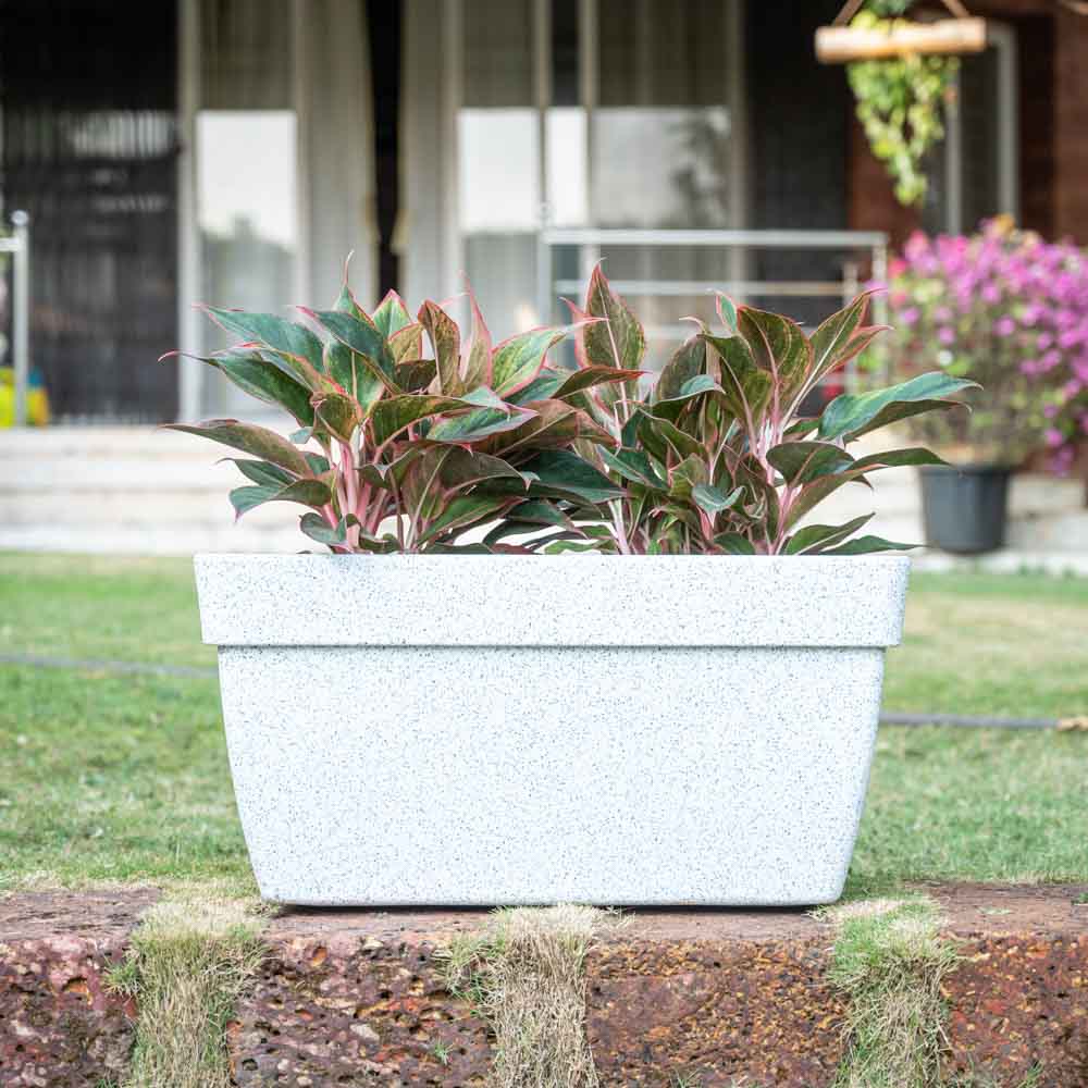 Barca Rectangle Planter