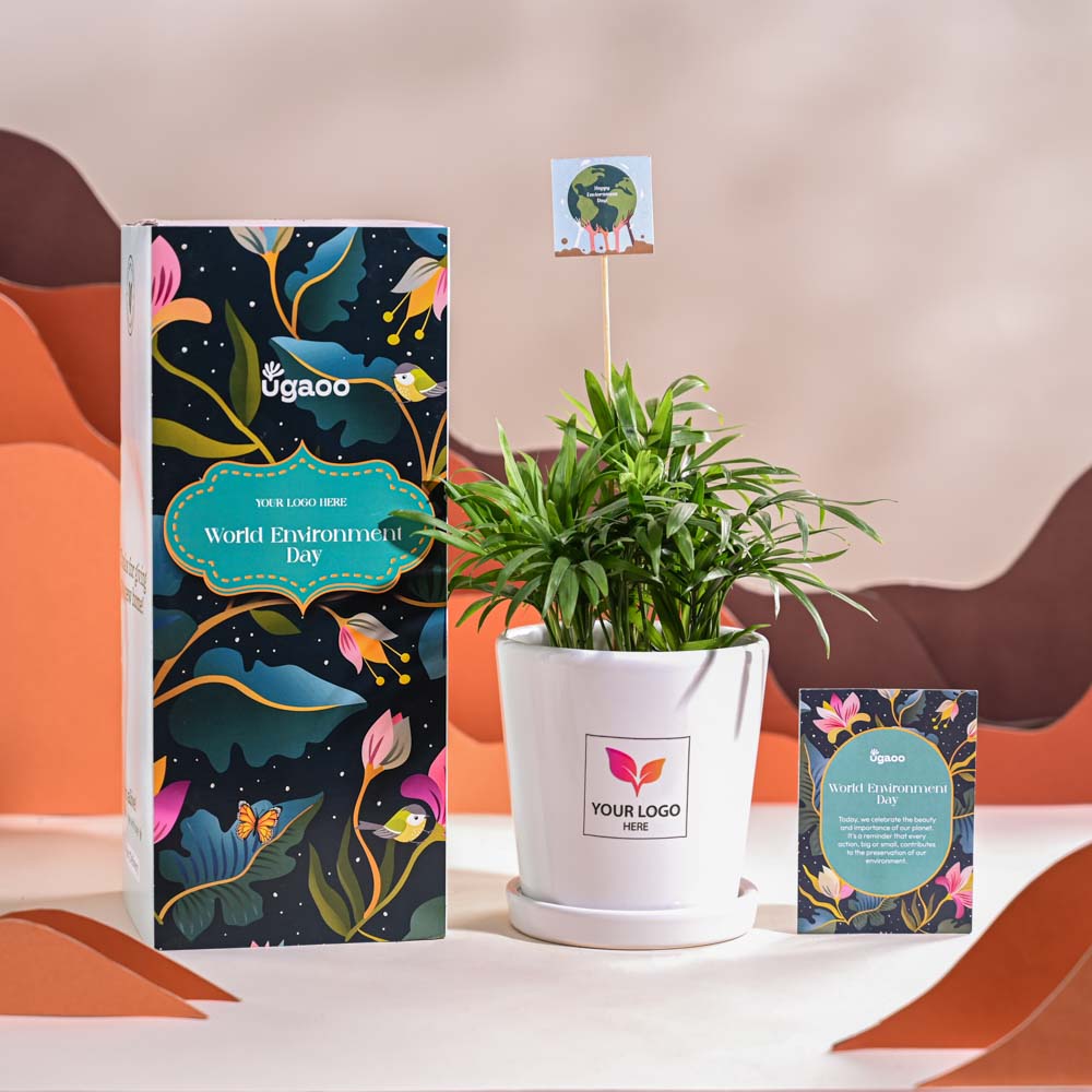 Bamboo Palm Plant For Environment Day Gifting