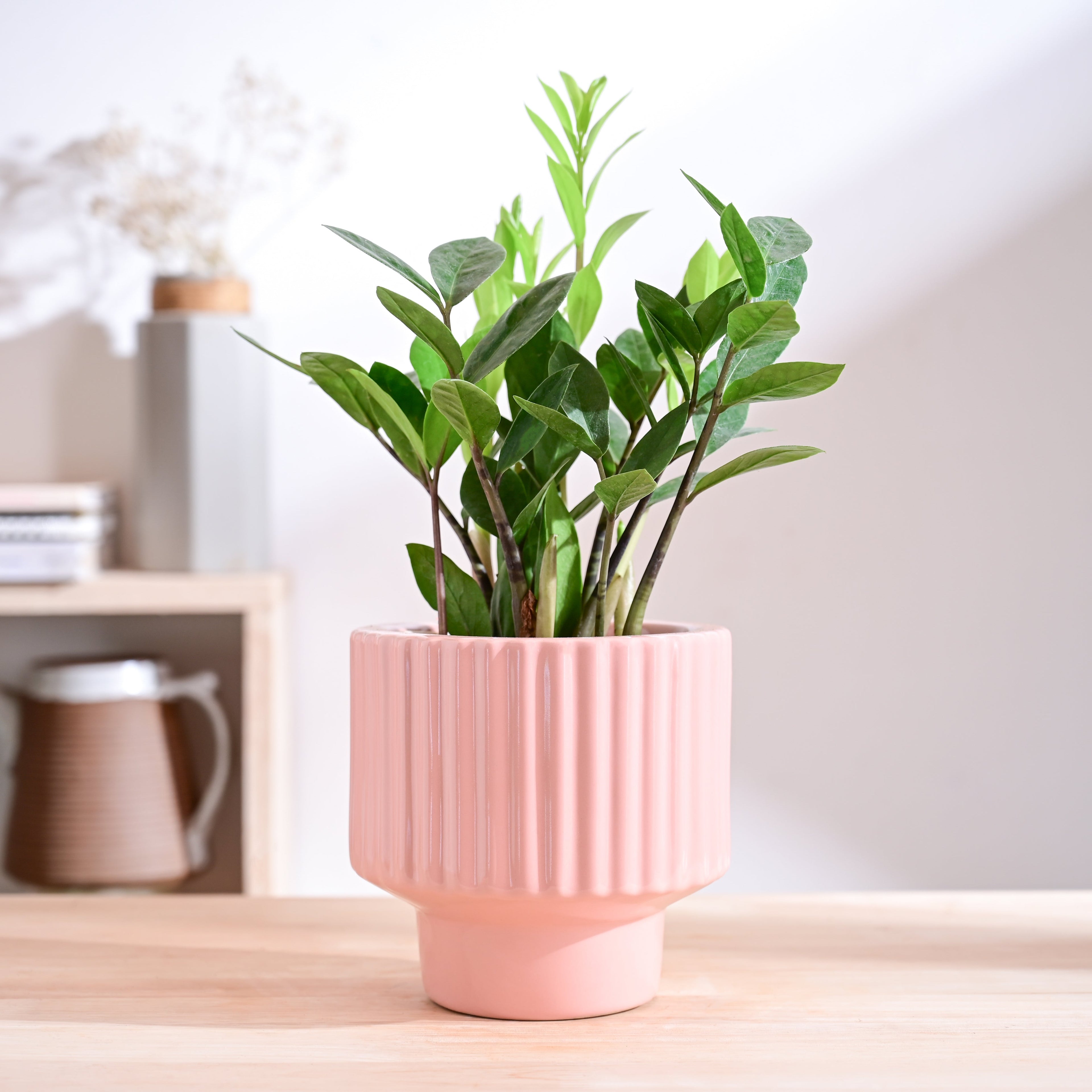 Forms of Love Ceramic Planter