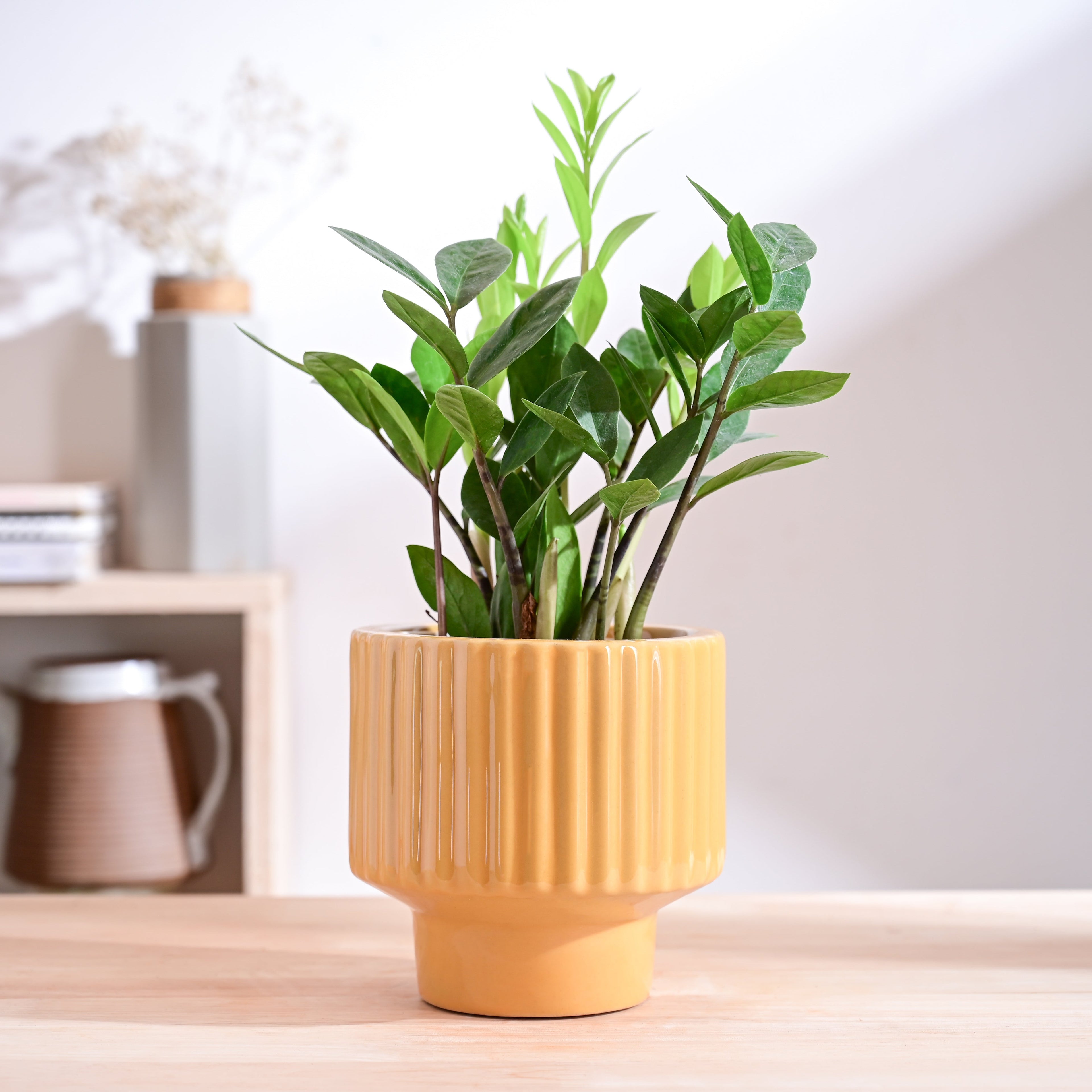 Forms of Love Ceramic Planter