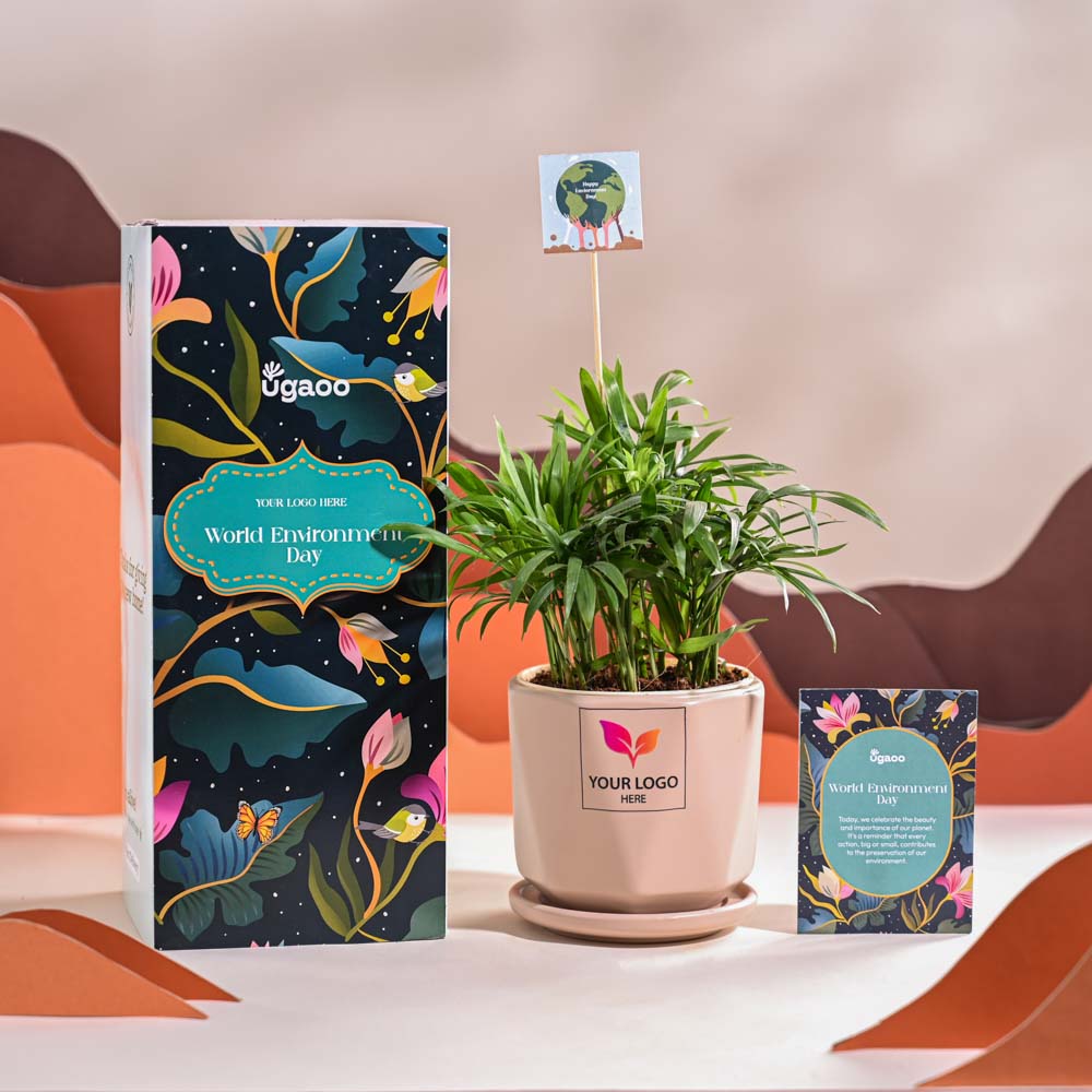 Bamboo Palm Plant For Environment Day Gifting