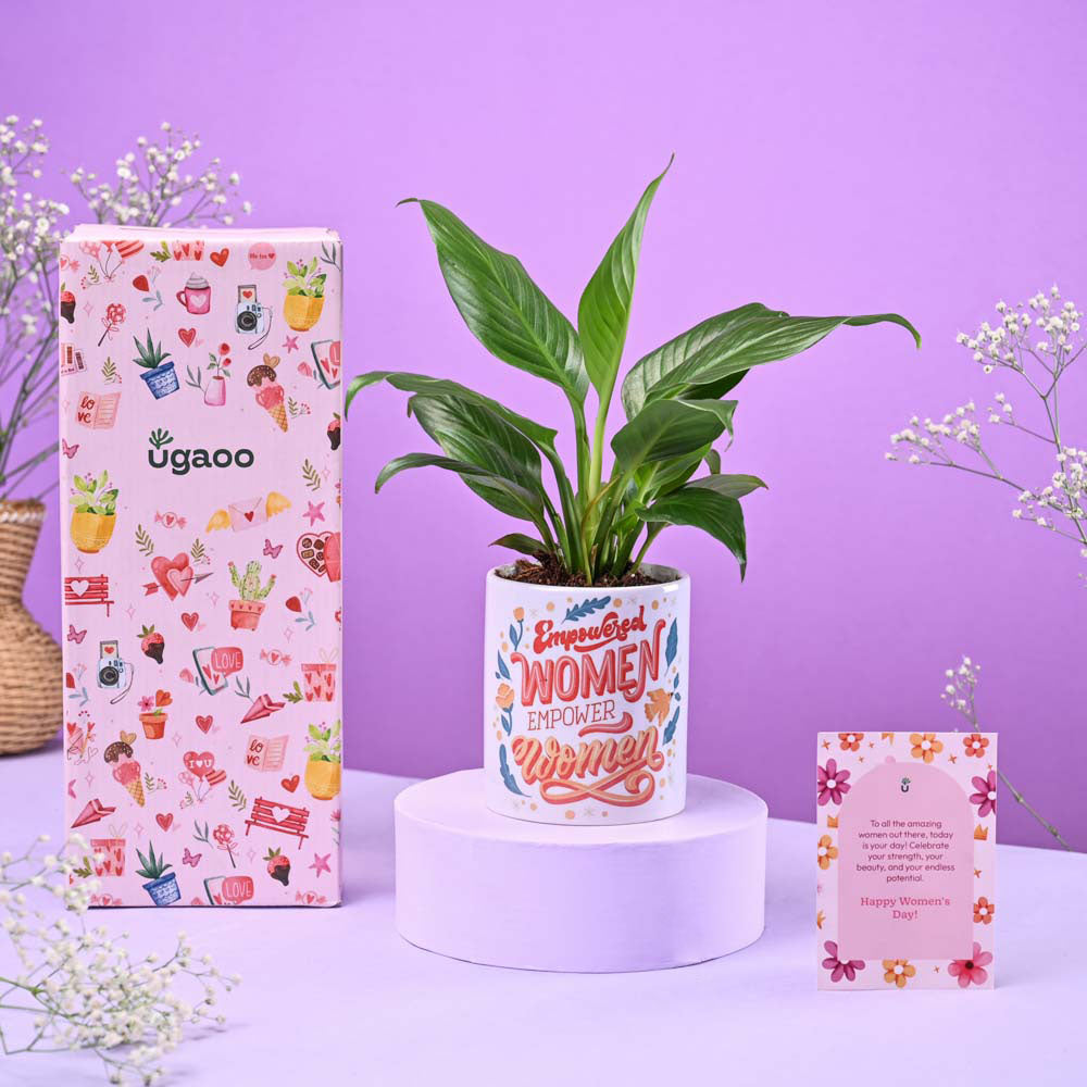 Peace lily in Ceramic Pot Women's Day Gift