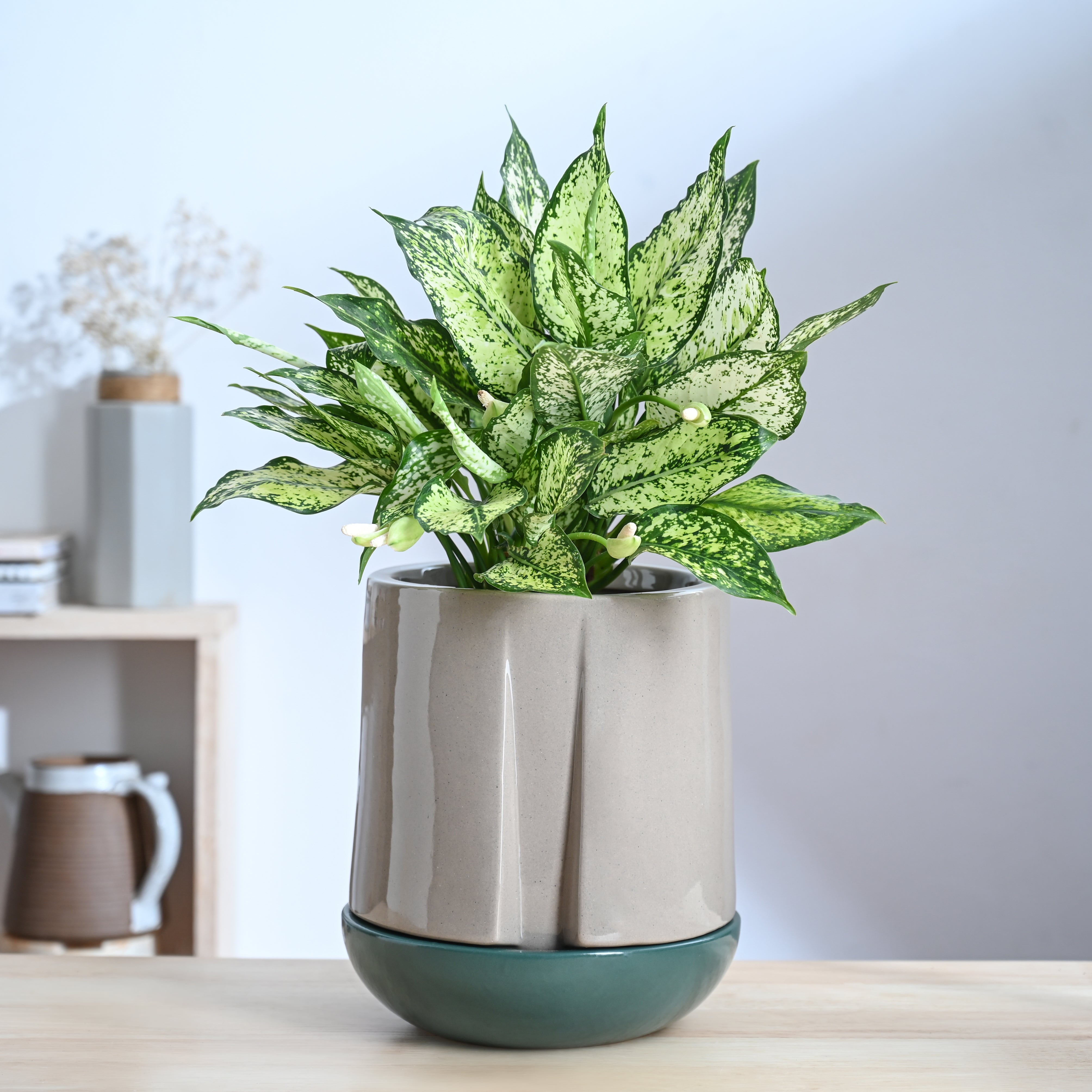 Moonlight Drama Ceramic Planter
