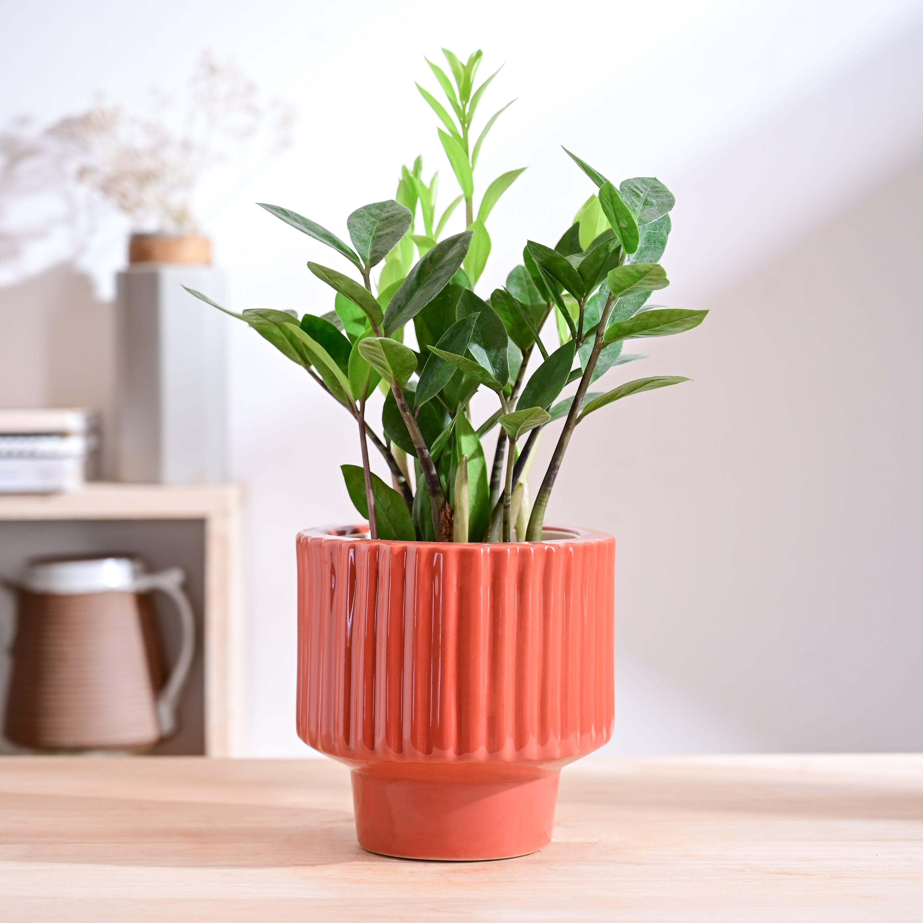 Forms of Love Ceramic Planter