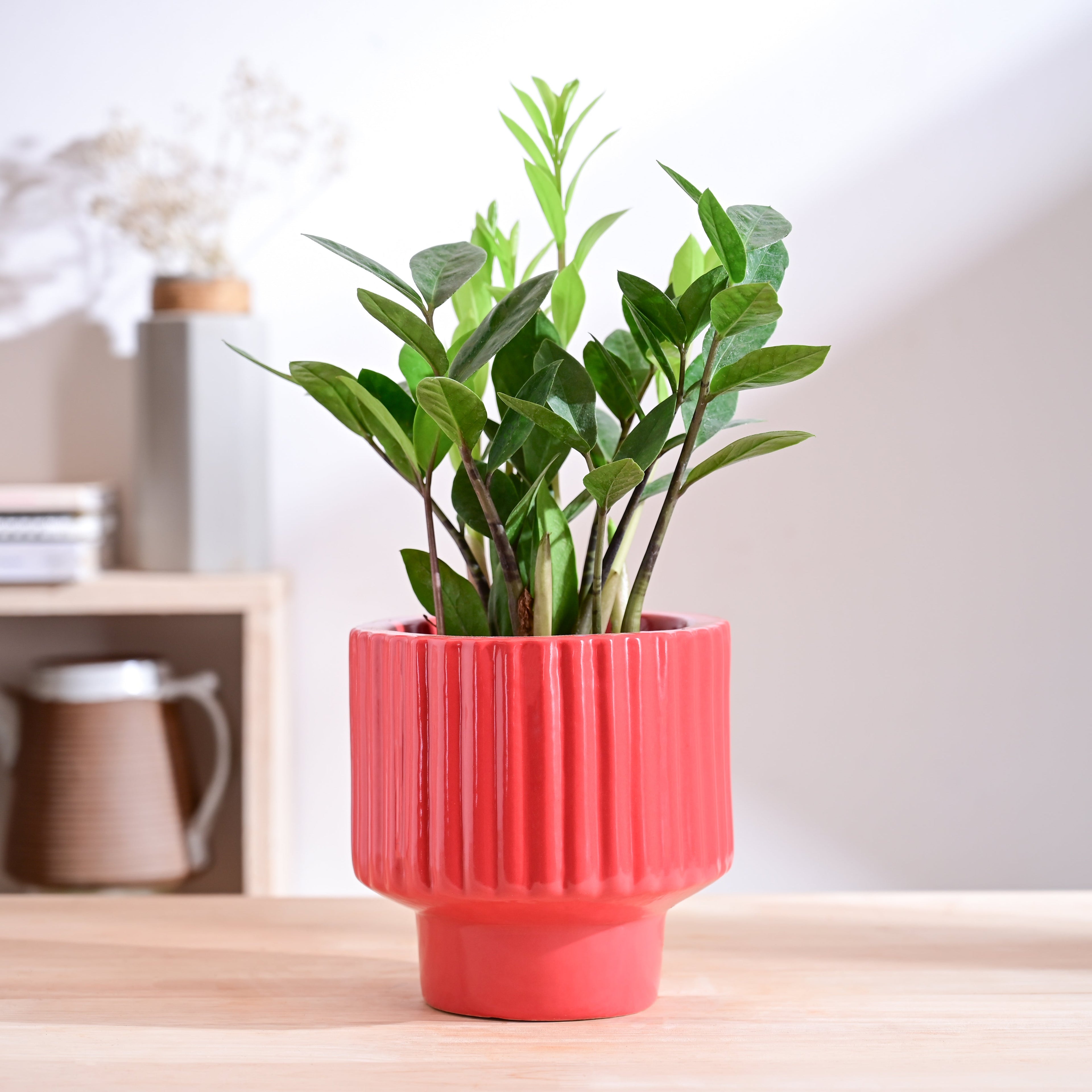 Forms of Love Ceramic Planter