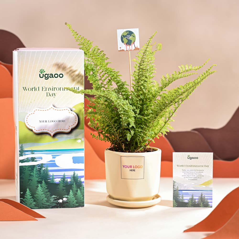 Fern Morpankhi For Environment Day Gifting