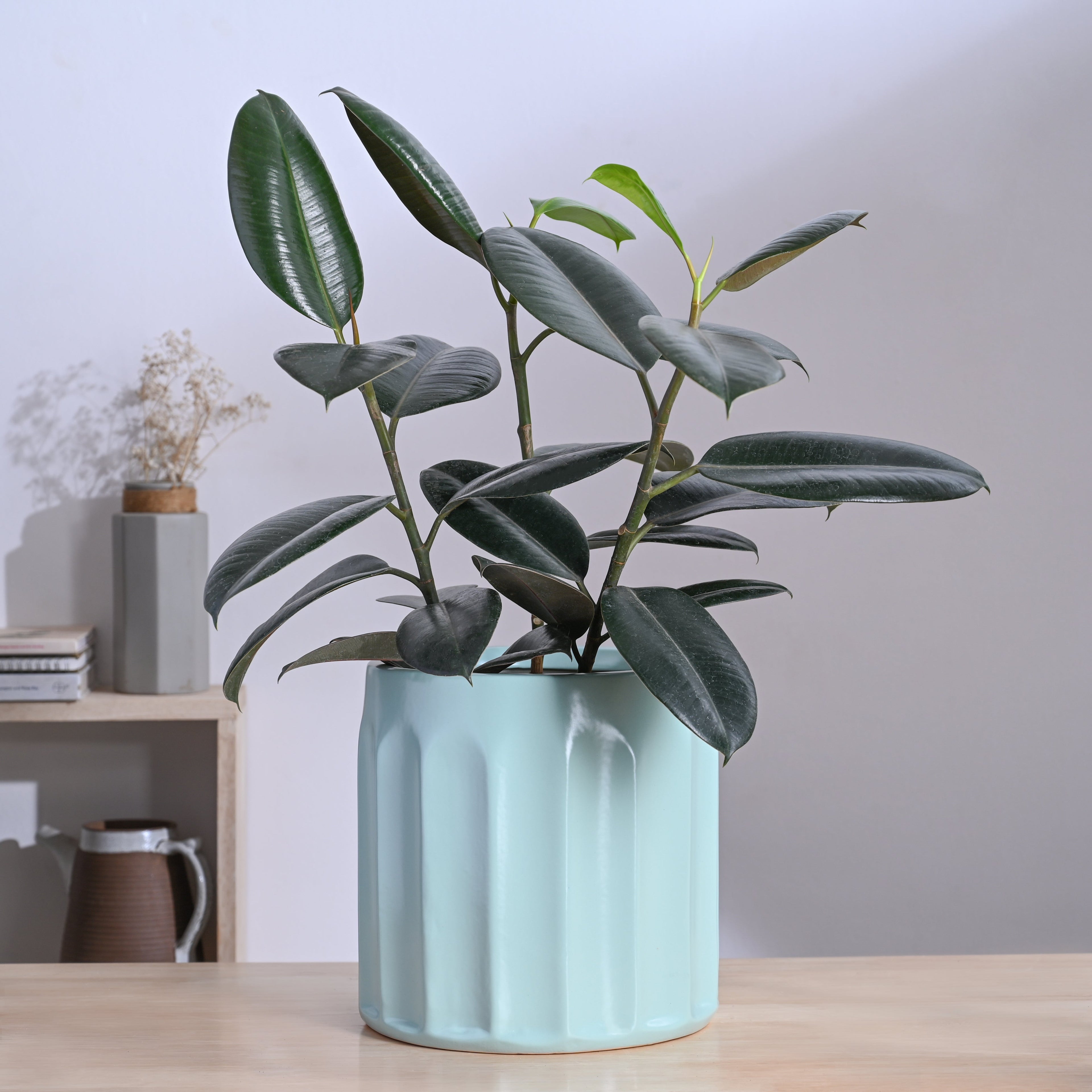 Blushing Sun Ceramic Planter