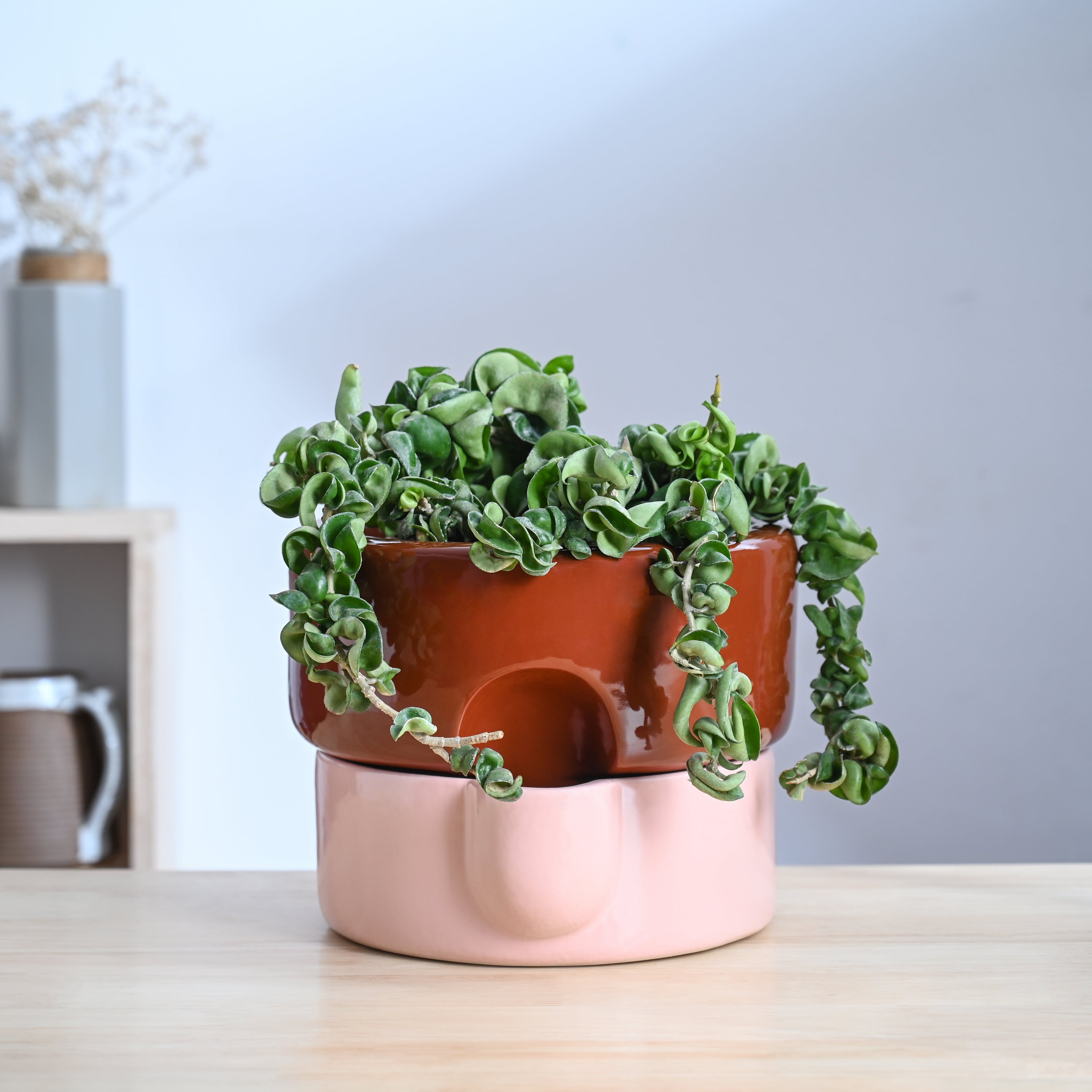 Flower Sunflower Ceramic Planter