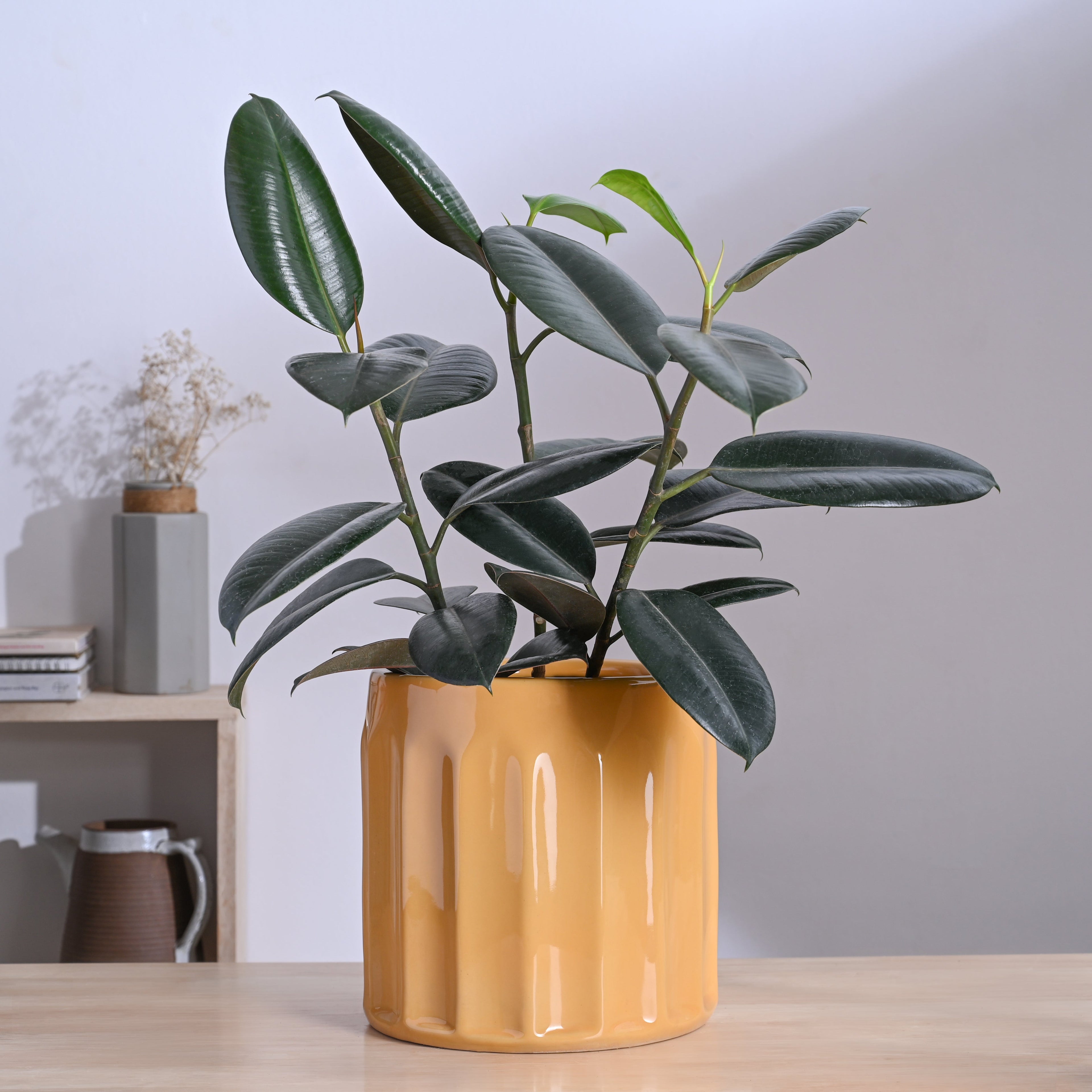 Blushing Sun Ceramic Planter