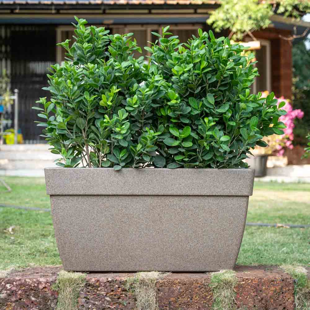 Barca Rectangle Planter