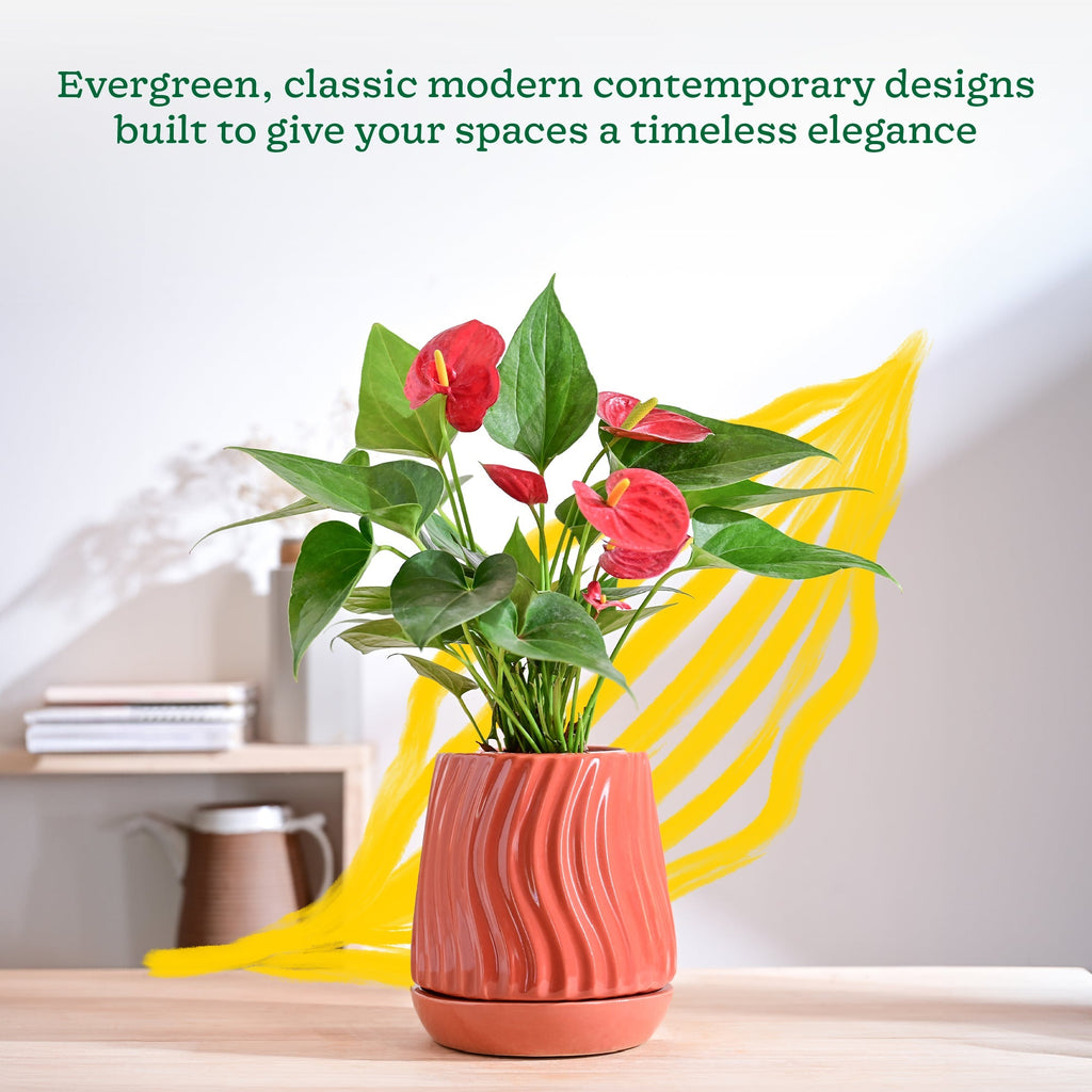 Fallen Angel Ceramic Planter