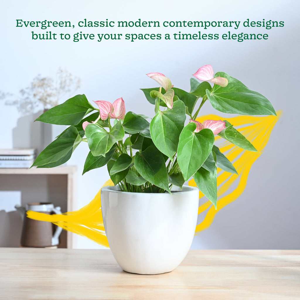 Echoing Eternity Ceramic Planter