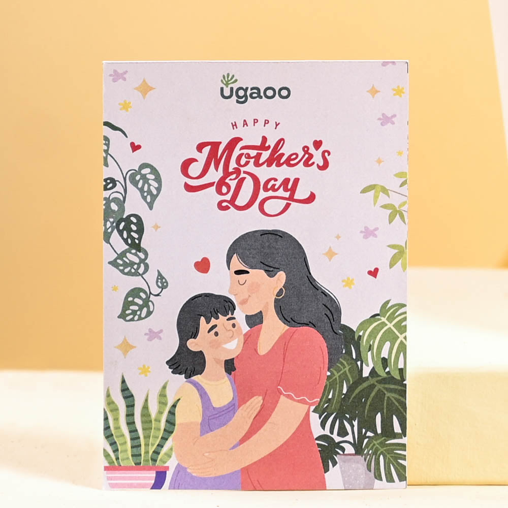 Peace Lily For Mother's Day Gifting