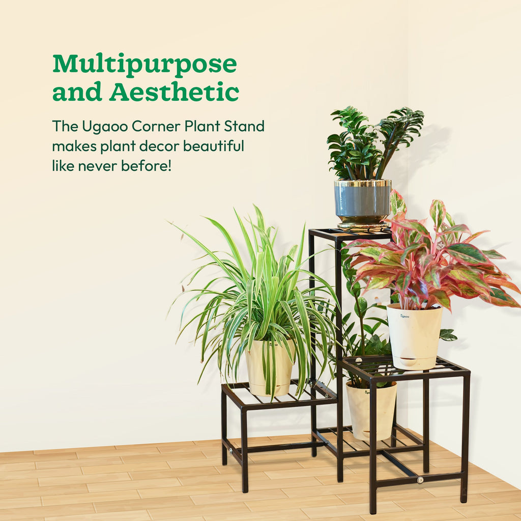 Corner Plant Stand