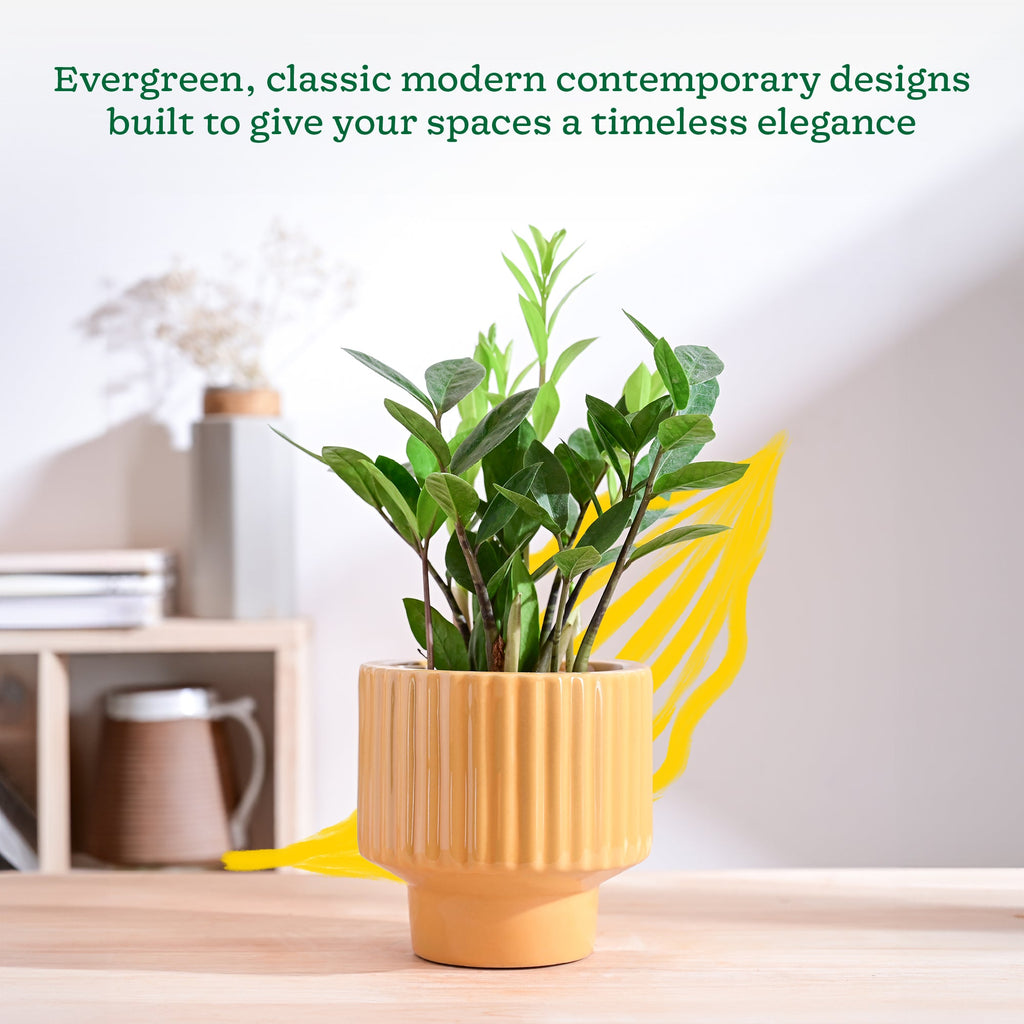 Forms of Love Ceramic Planter