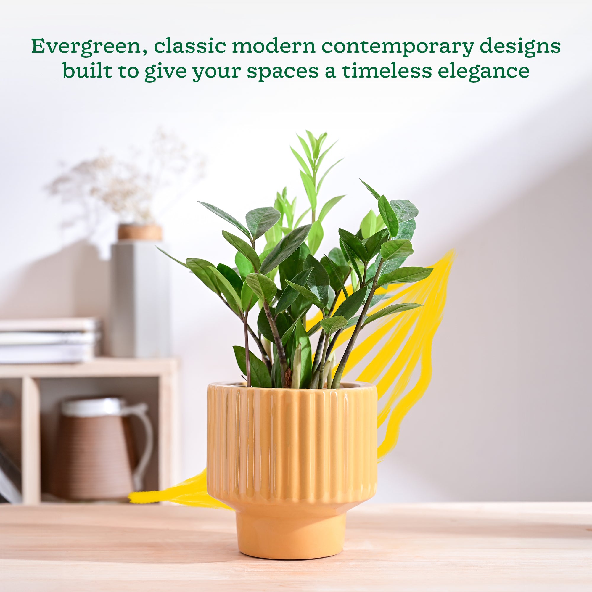 Forms of Love Ceramic Planter