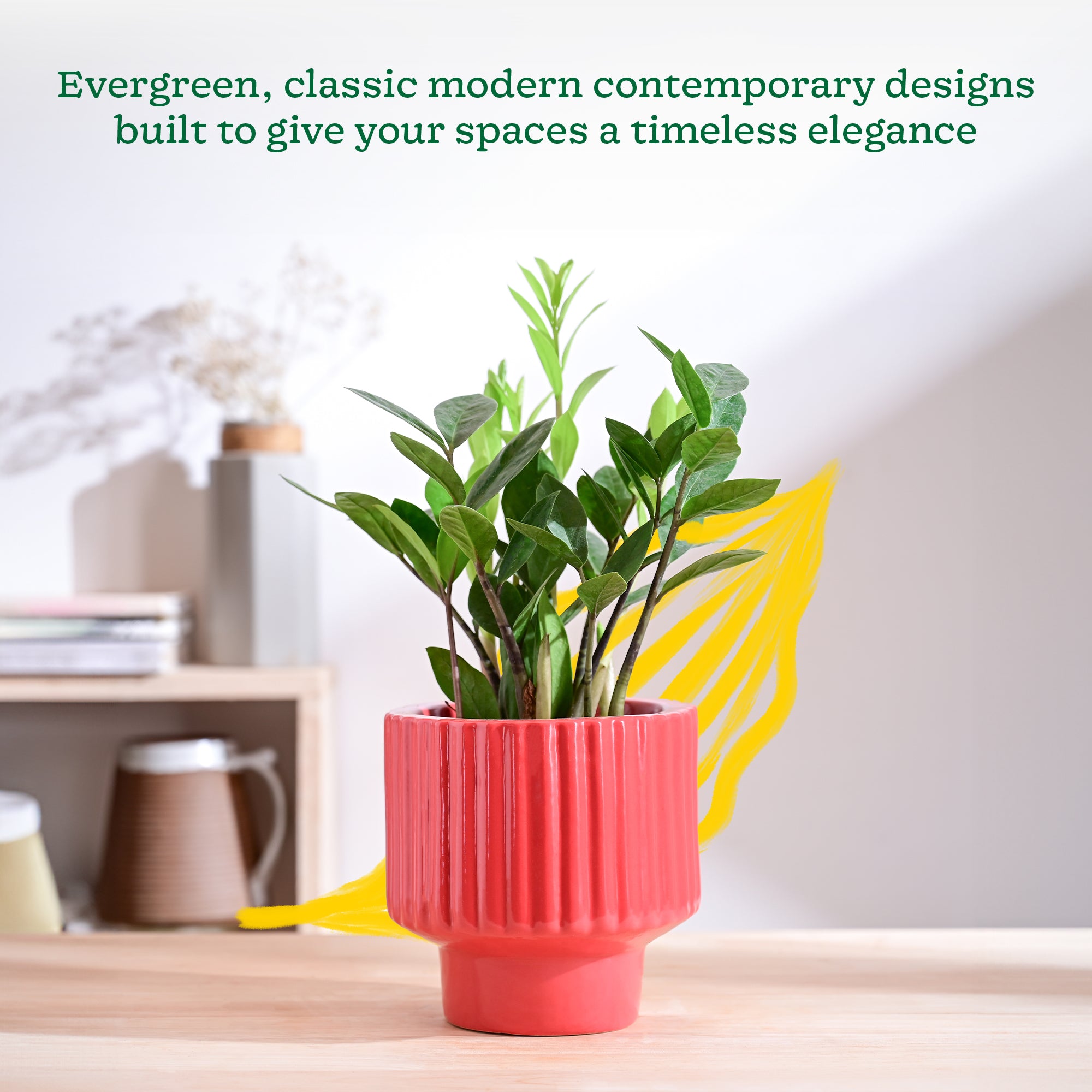 Forms of Love Ceramic Planter