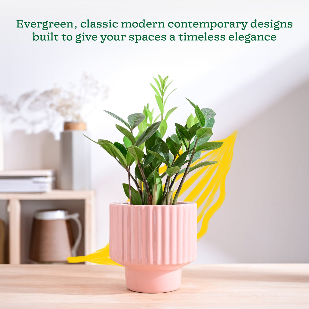 Forms of Love Ceramic Planter