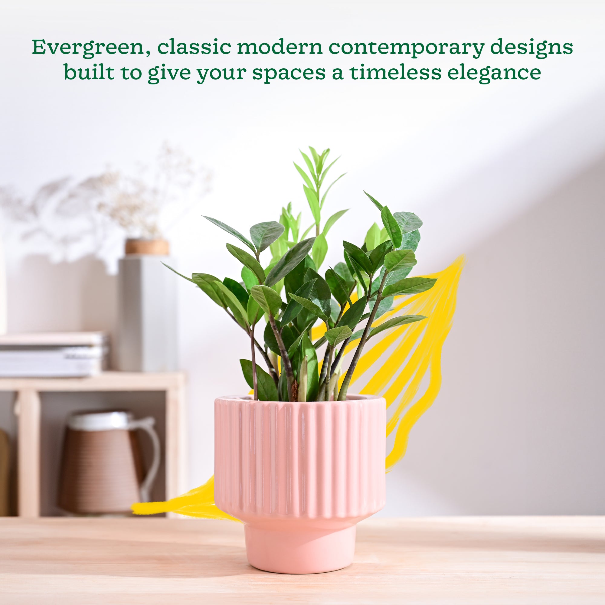 Forms of Love Ceramic Planter