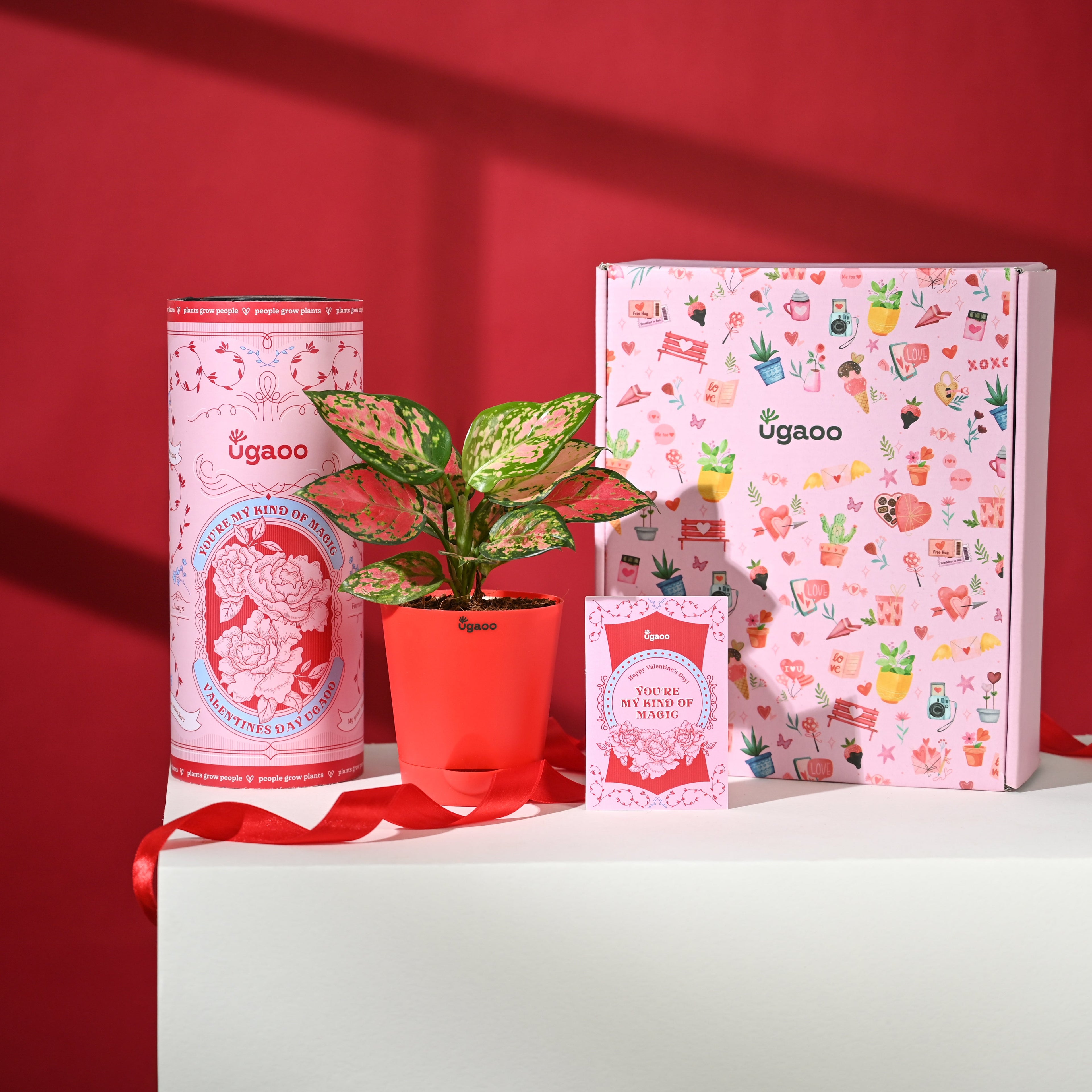 Blush of Love Hamper