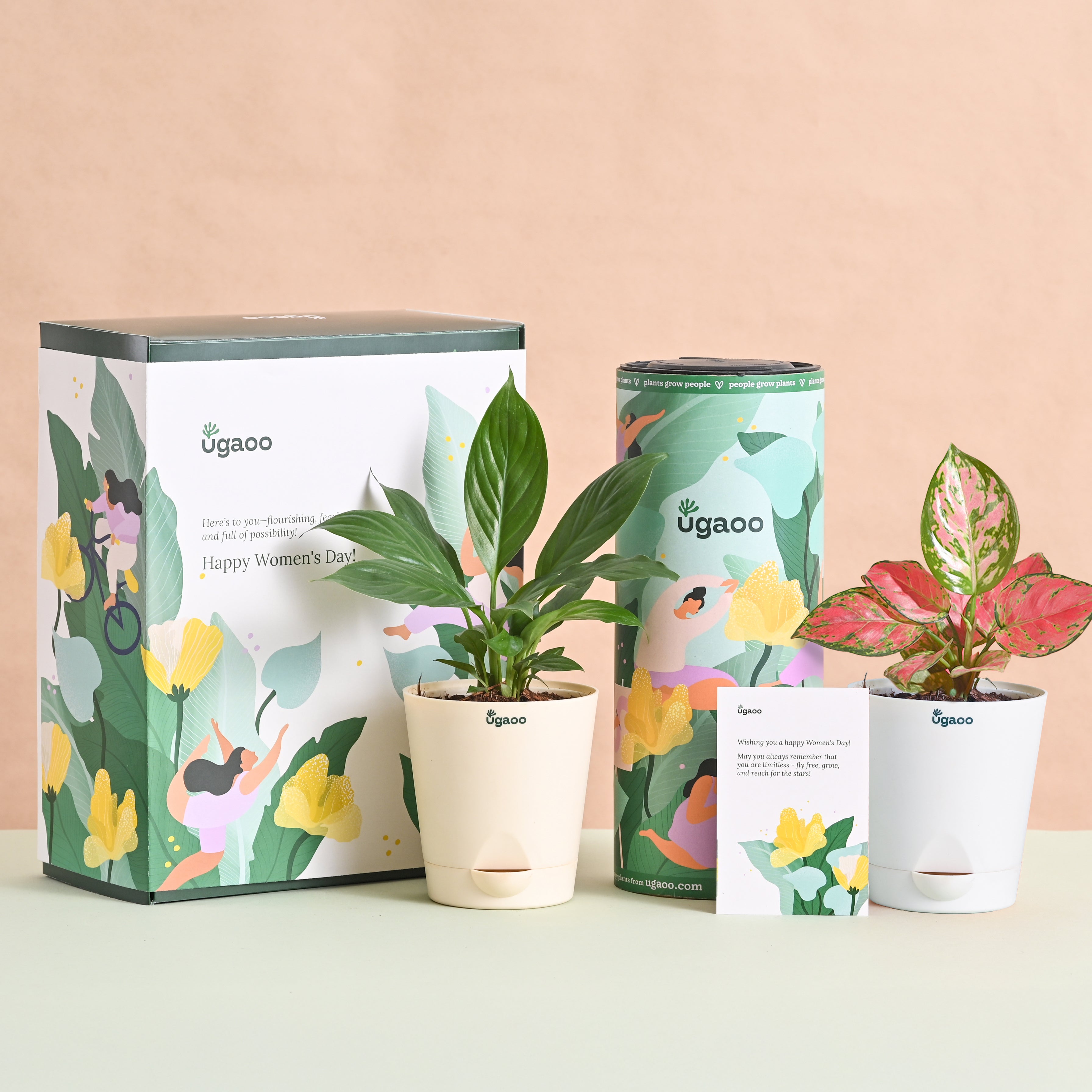 Blush & Bloom Women's Day Plant Bundle