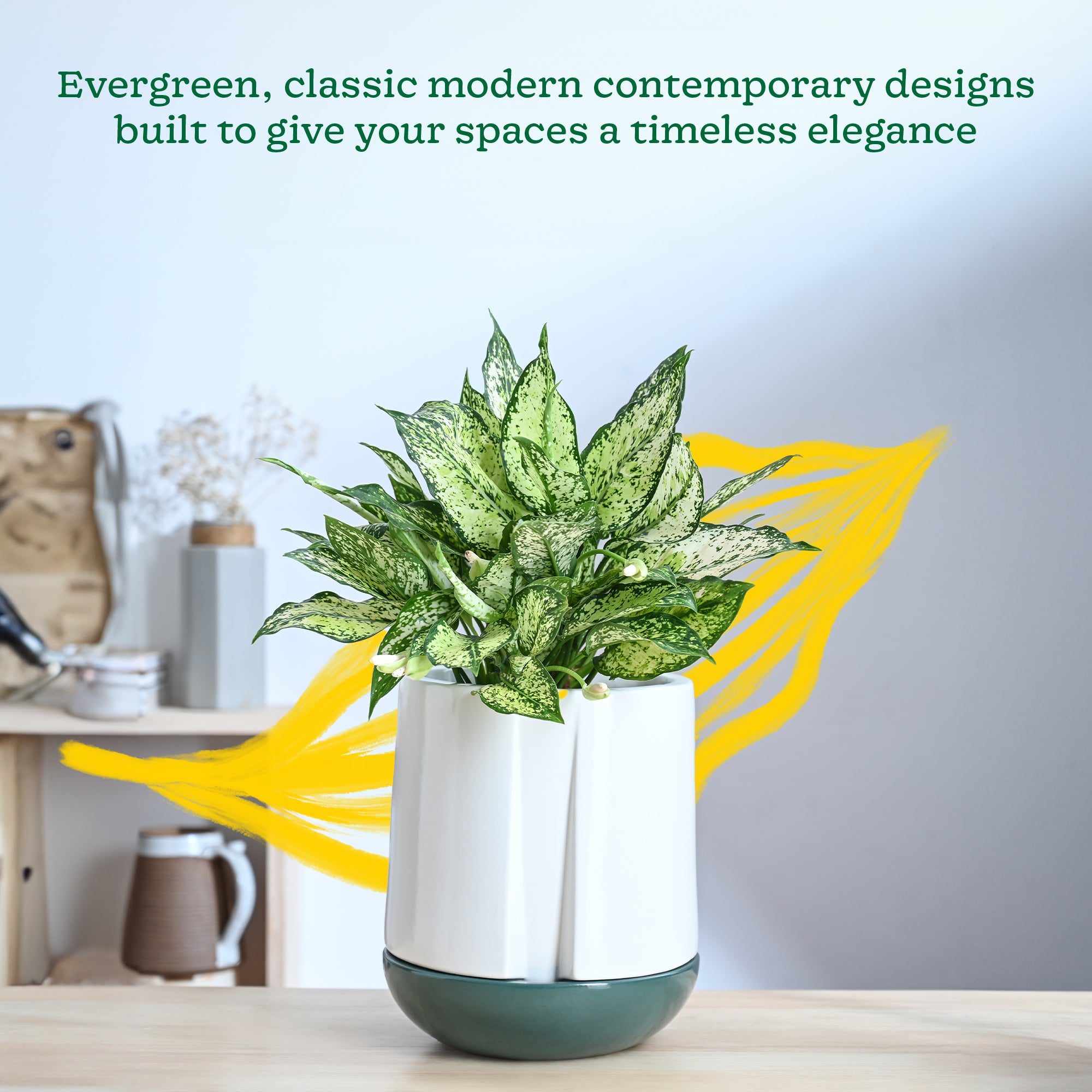 Moonlight Drama Ceramic Planter