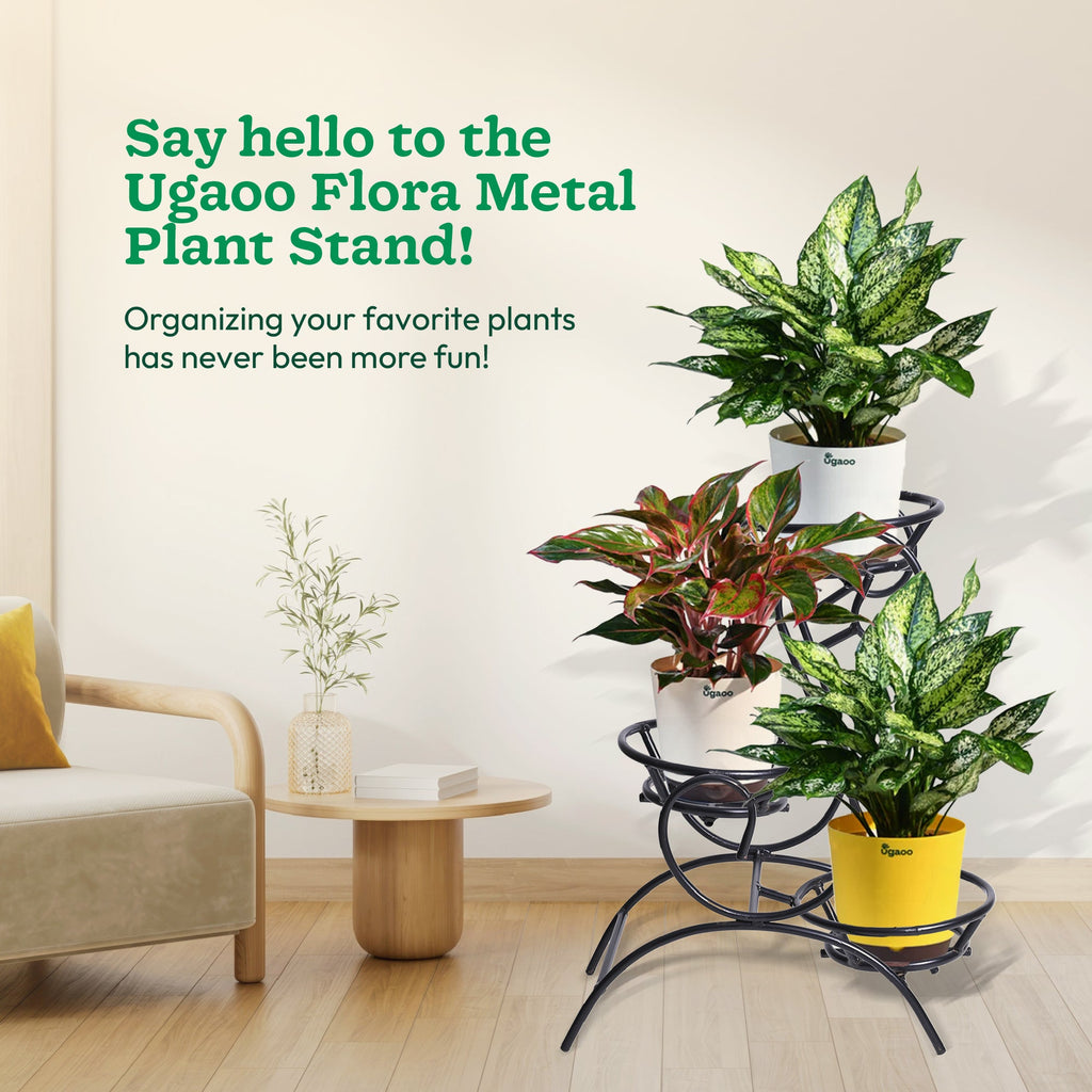 Flora Plant Stand