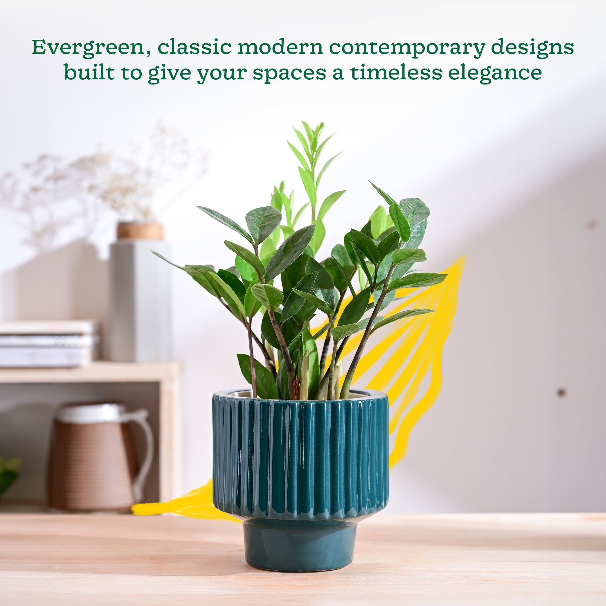 Forms of Love Ceramic Planter