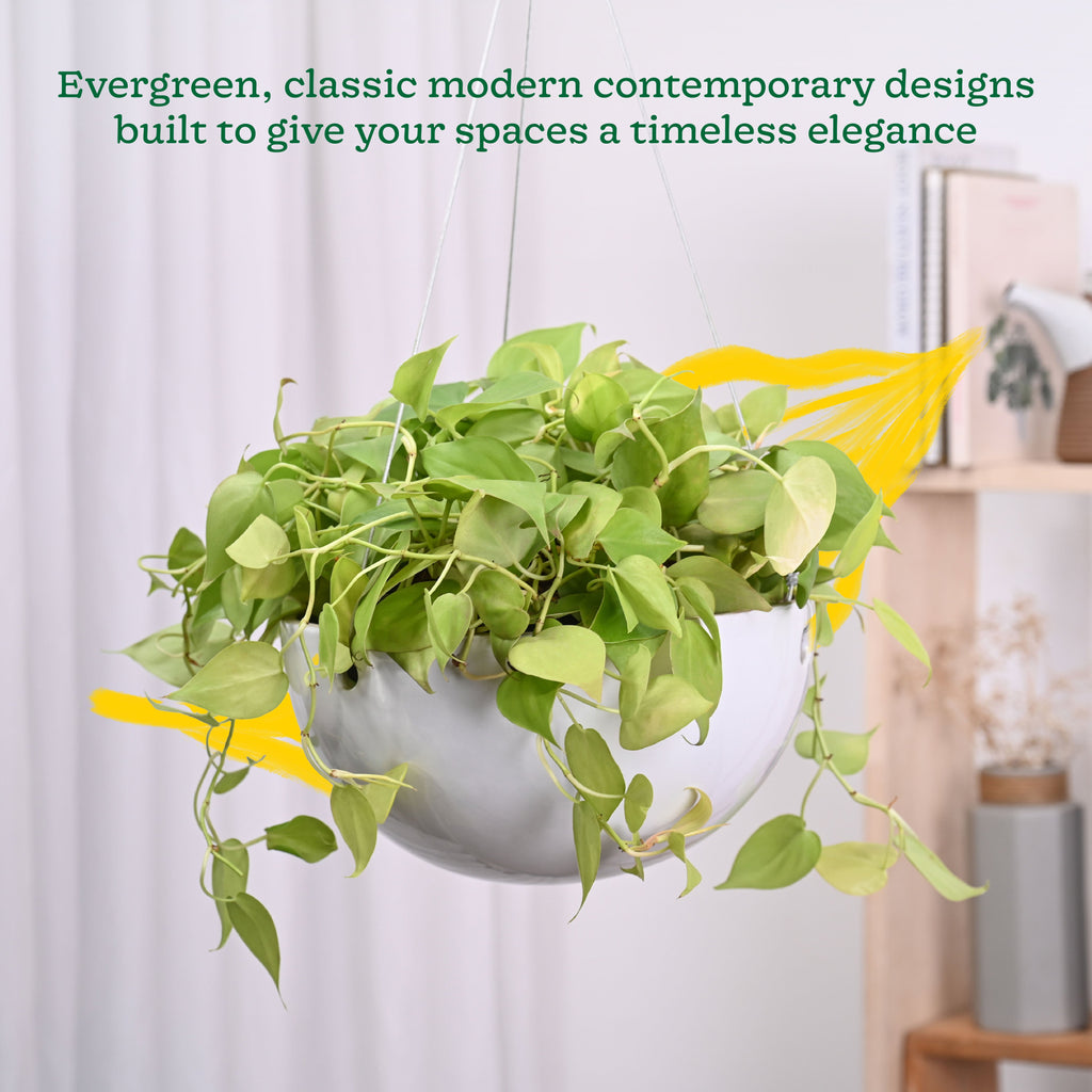 Hanging Ceramic Planters Petrichor Smite