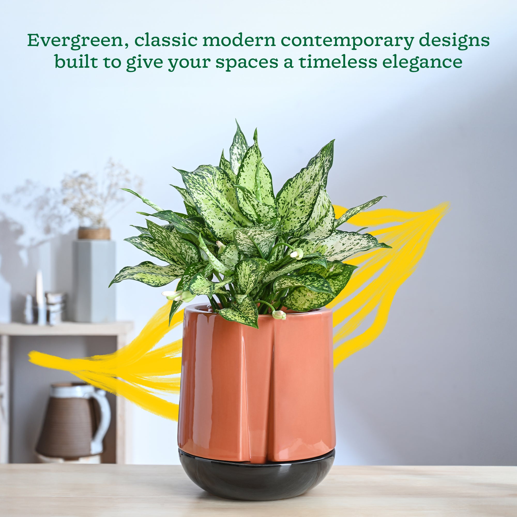 Moonlight Drama Ceramic Planter