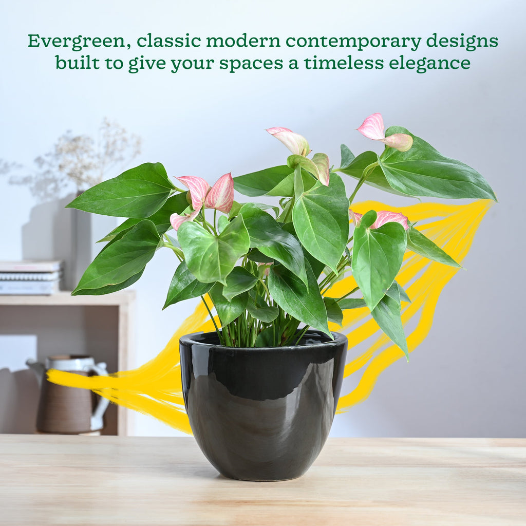 Echoing Eternity Ceramic Planter