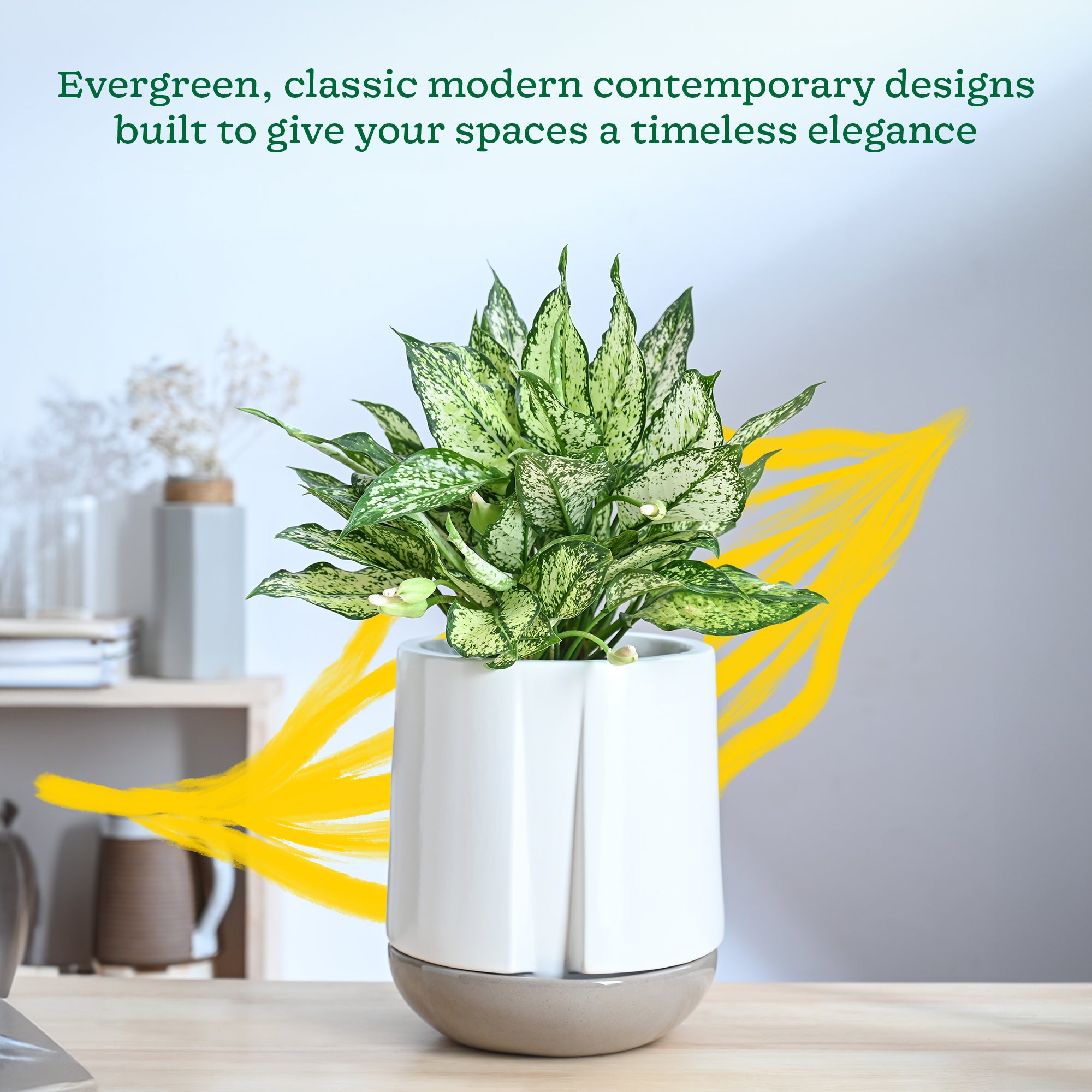 Moonlight Drama Ceramic Planter