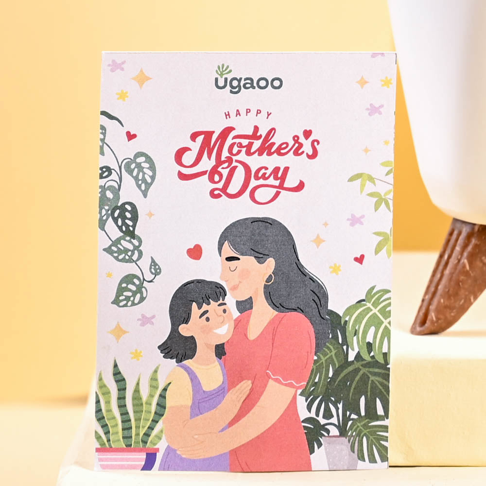 Aloe Vera Green Mini For Mother's Day Gifting