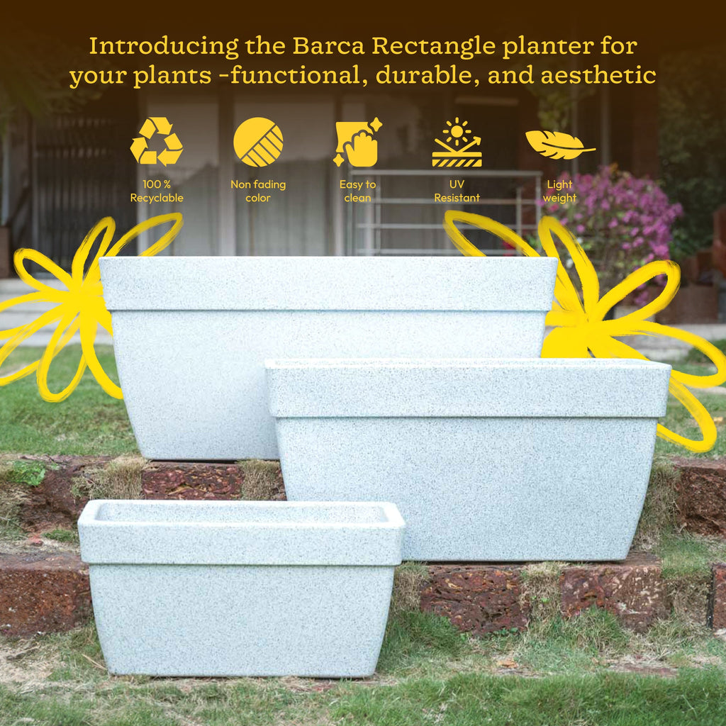 Barca Rectangle Planter