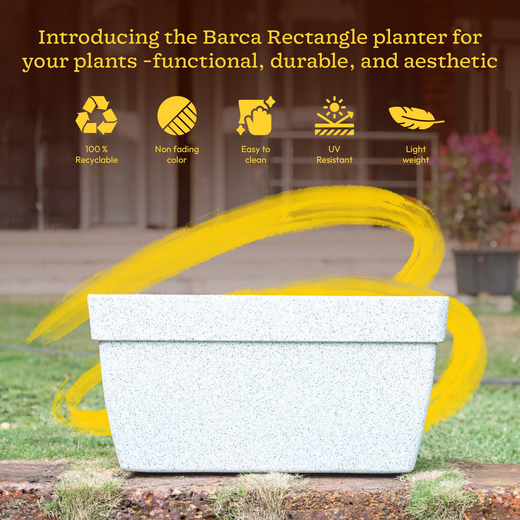 Barca Rectangle Planter