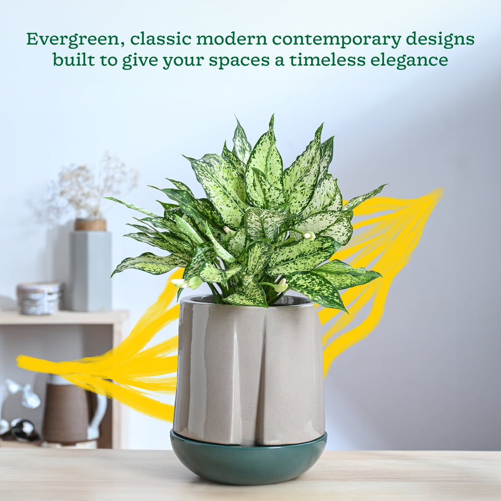 Moonlight Drama Ceramic Planter