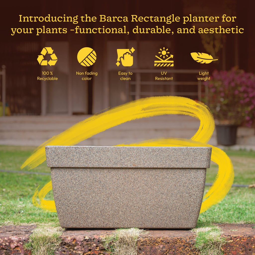 Barca Rectangle Planter