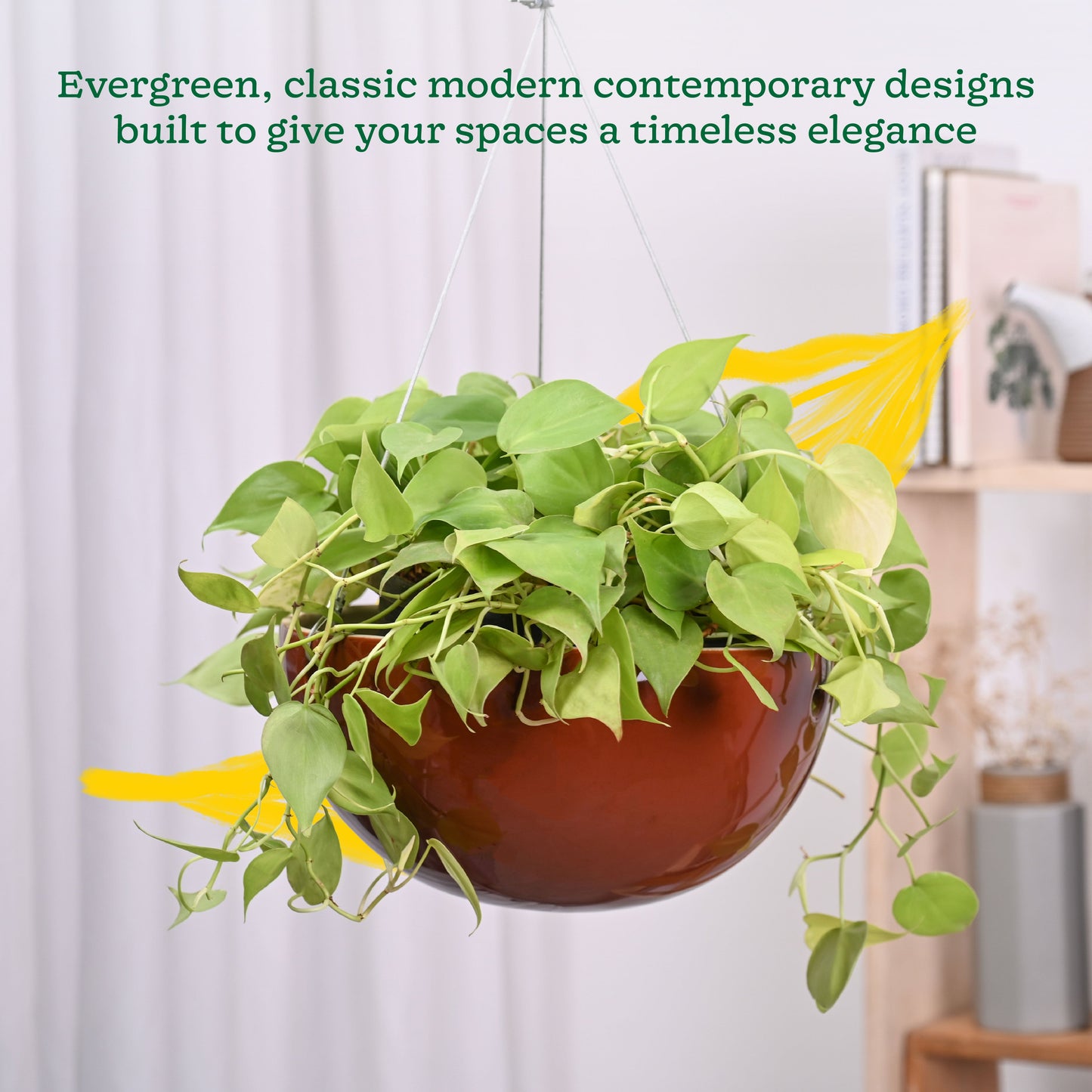 Hanging Ceramic Planters Petrichor Smite