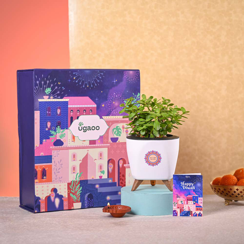 Jade Mini & Epiphany Diwali Gift Hamper