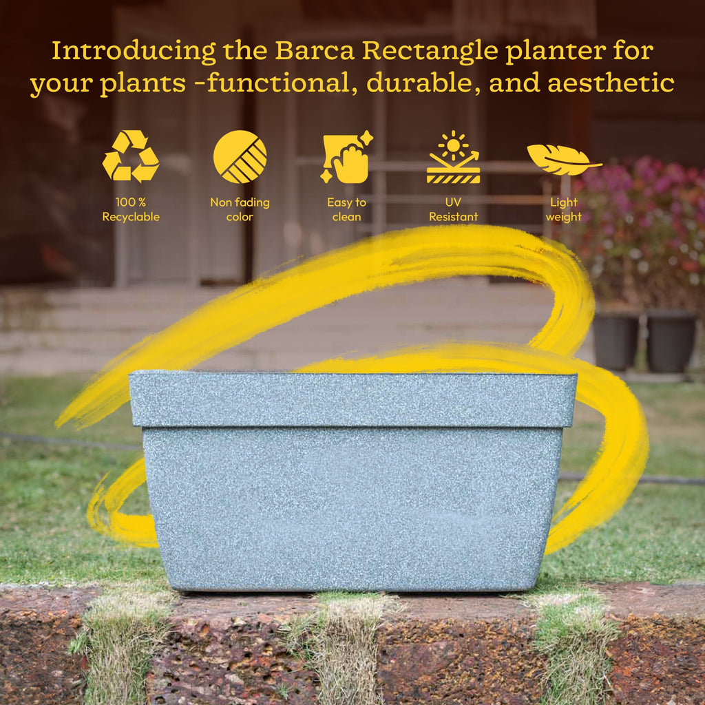 Barca Rectangle Planter