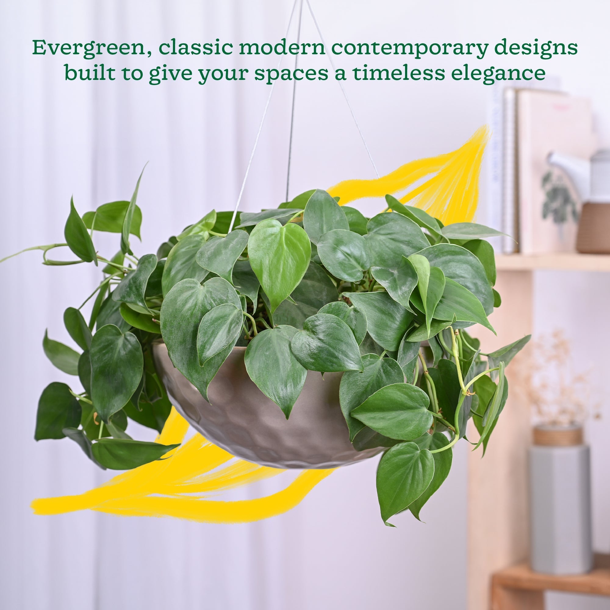 Hanging Ceramic Planters Petrichor Smite