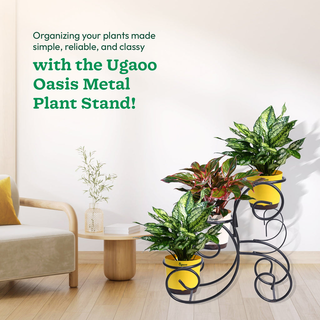 Oasis Metal Plant Stand